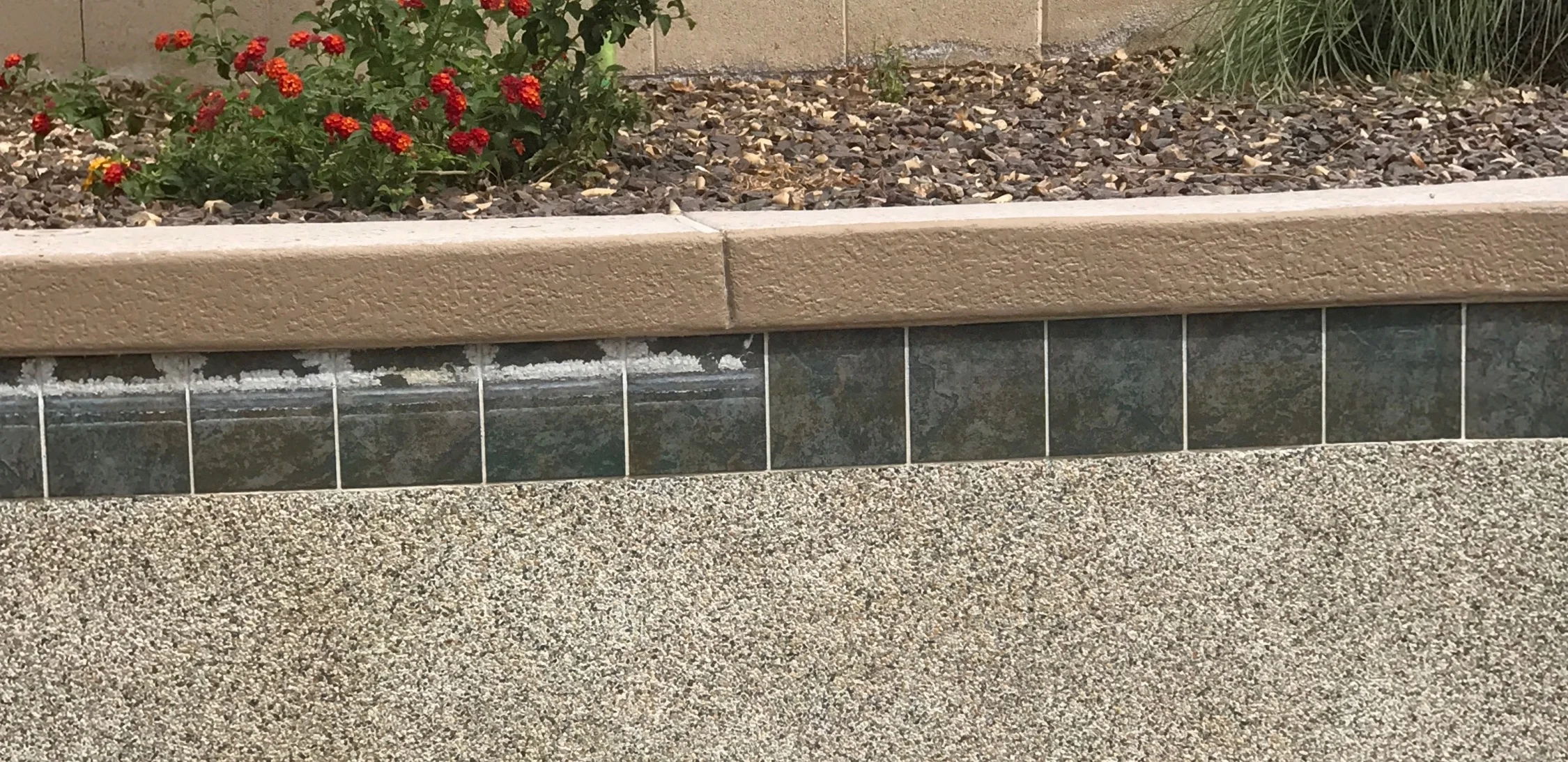 PoolTileCleaning2.jpg
