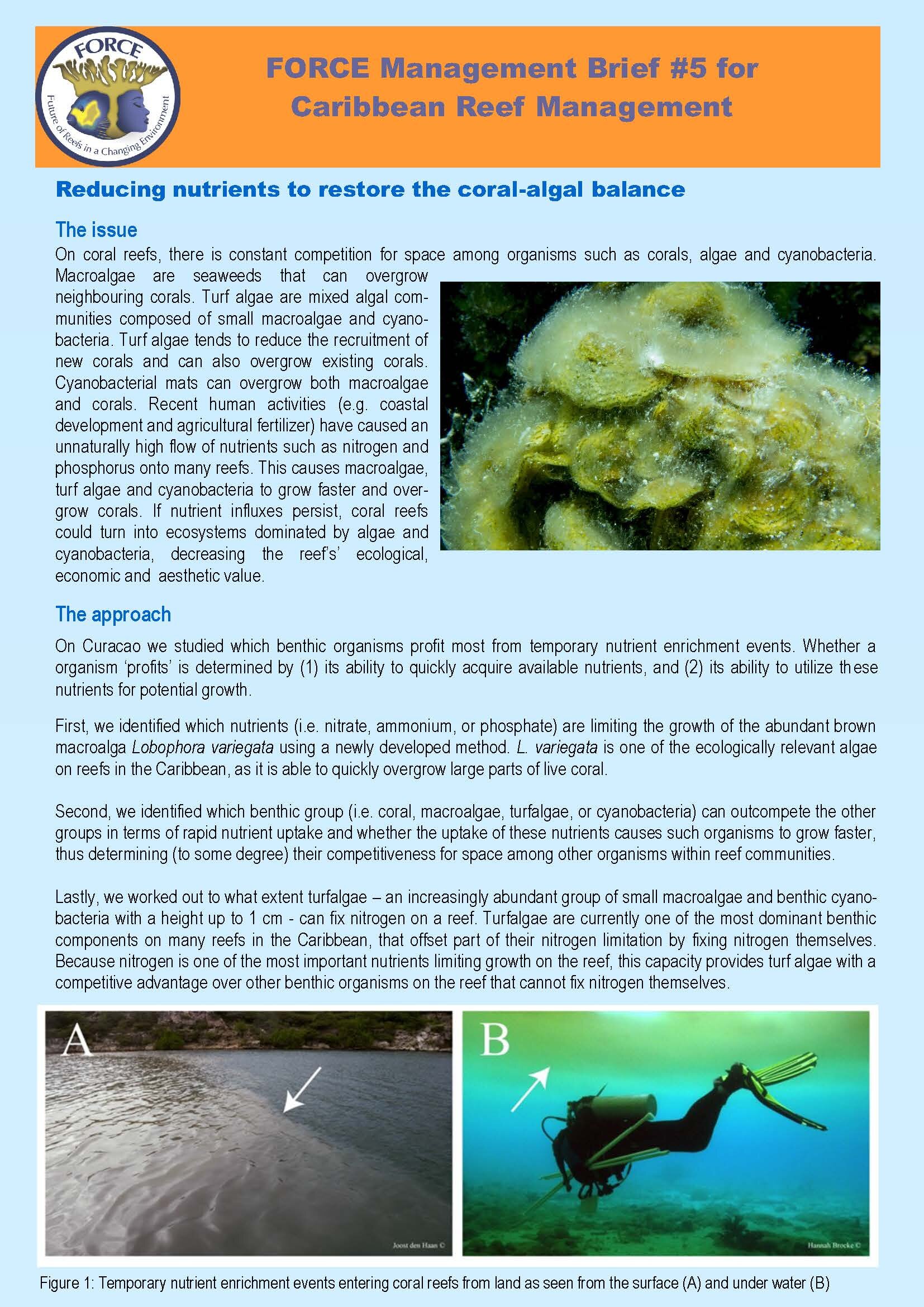 FORCE MBrief 5_Nutrient Enrichment on coral-algal balance _Pg_1.jpg