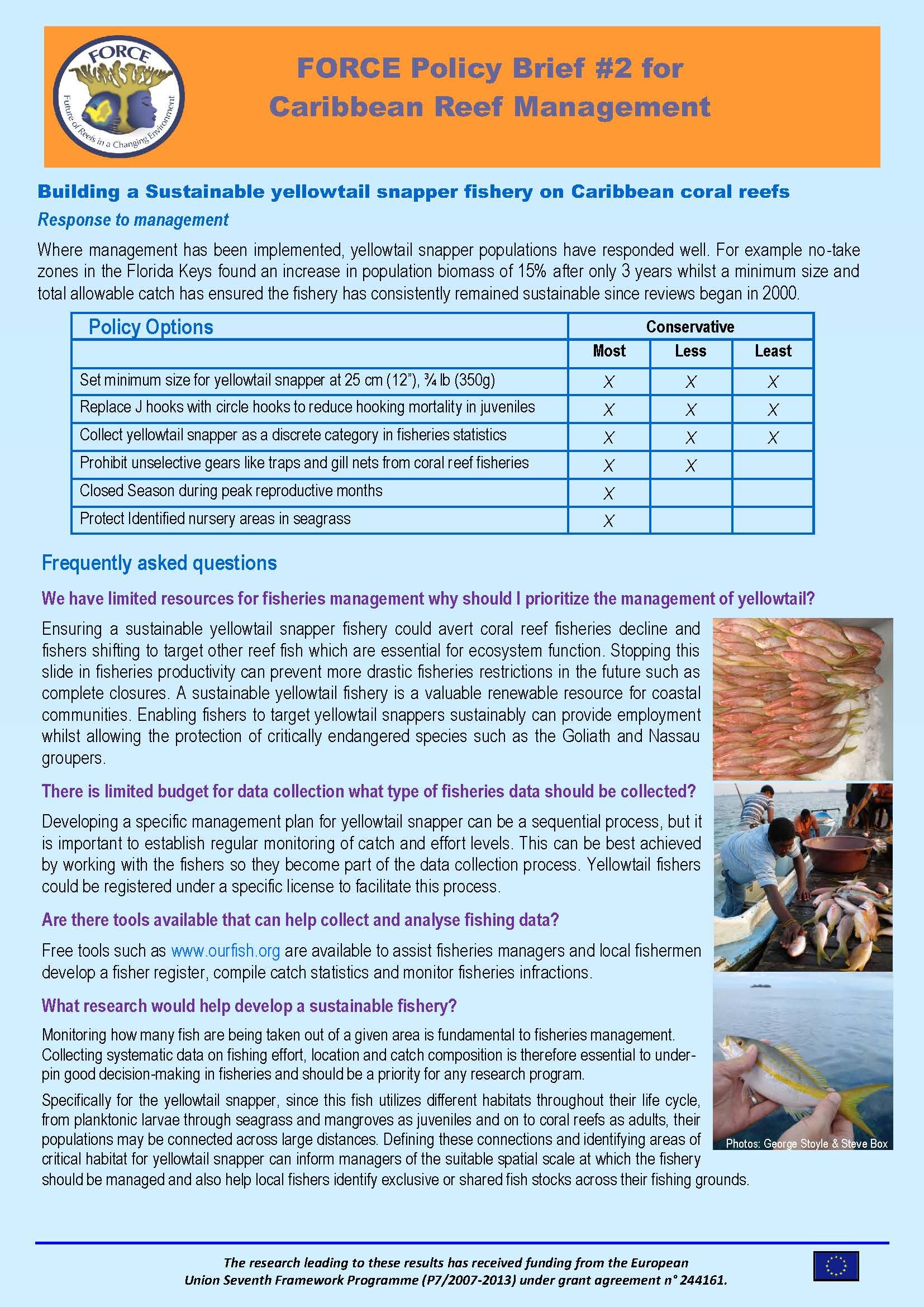 FORCE Policy brief 2_Sustainable Yellowtail Snapper fishery_Pg_2.jpg