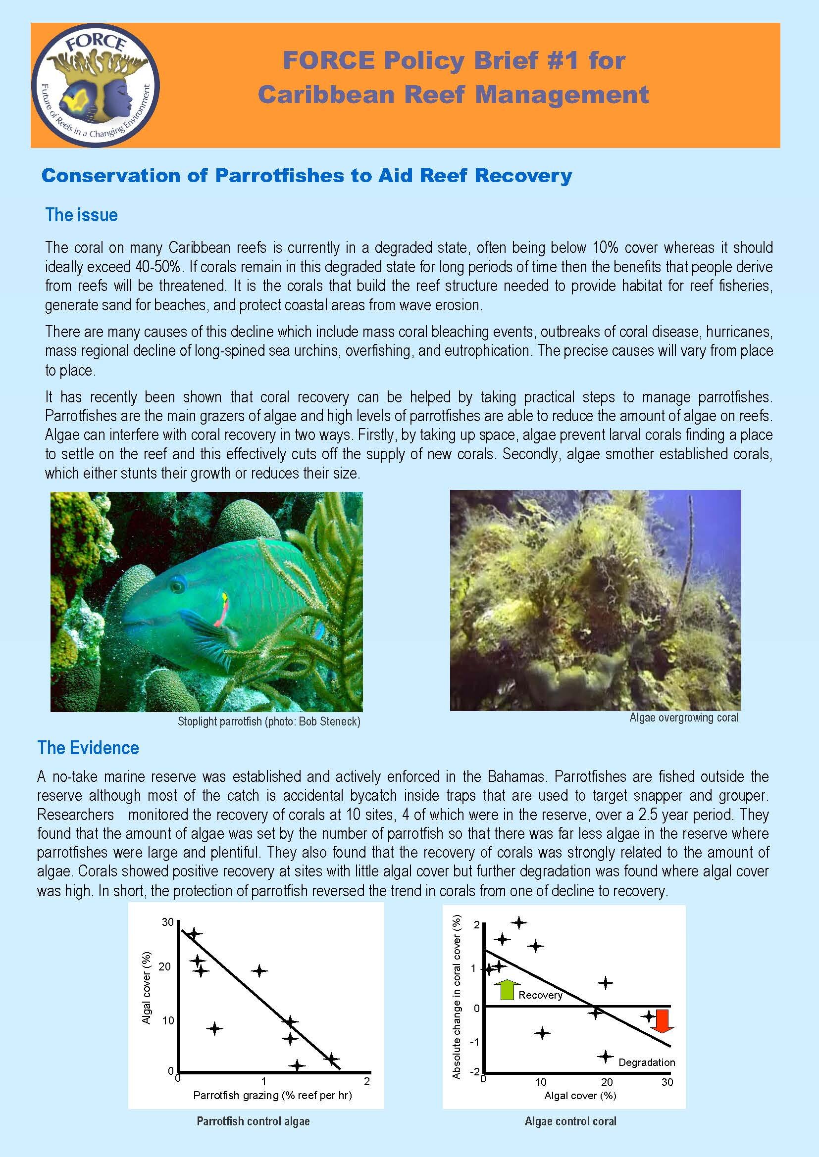 FORCE Policy brief 1_Parrotfish to aid reef recover_Pg_1.jpg