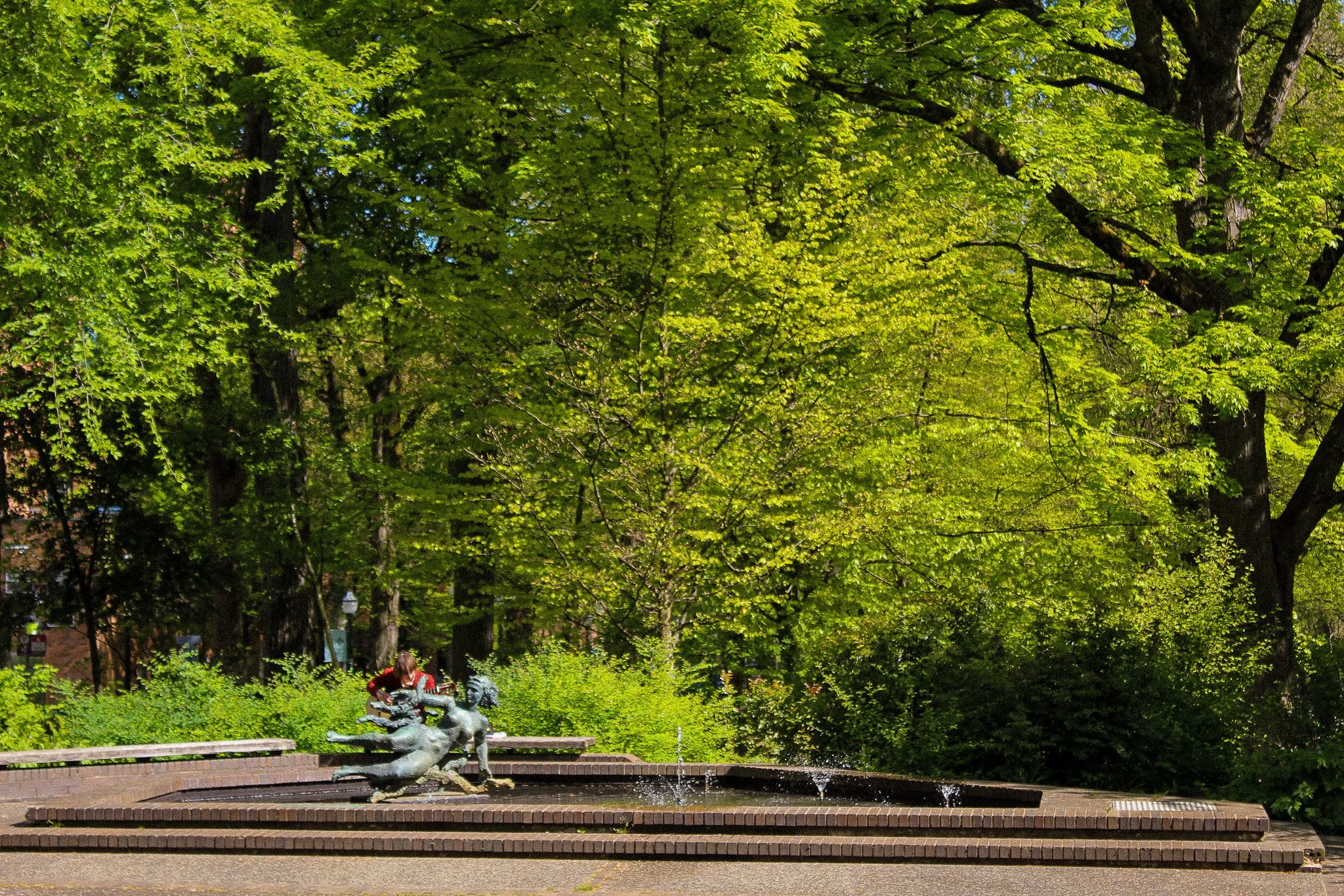 A park fountain with a bronze sculpture of a person riding a horse, surrounded by lush green trees.