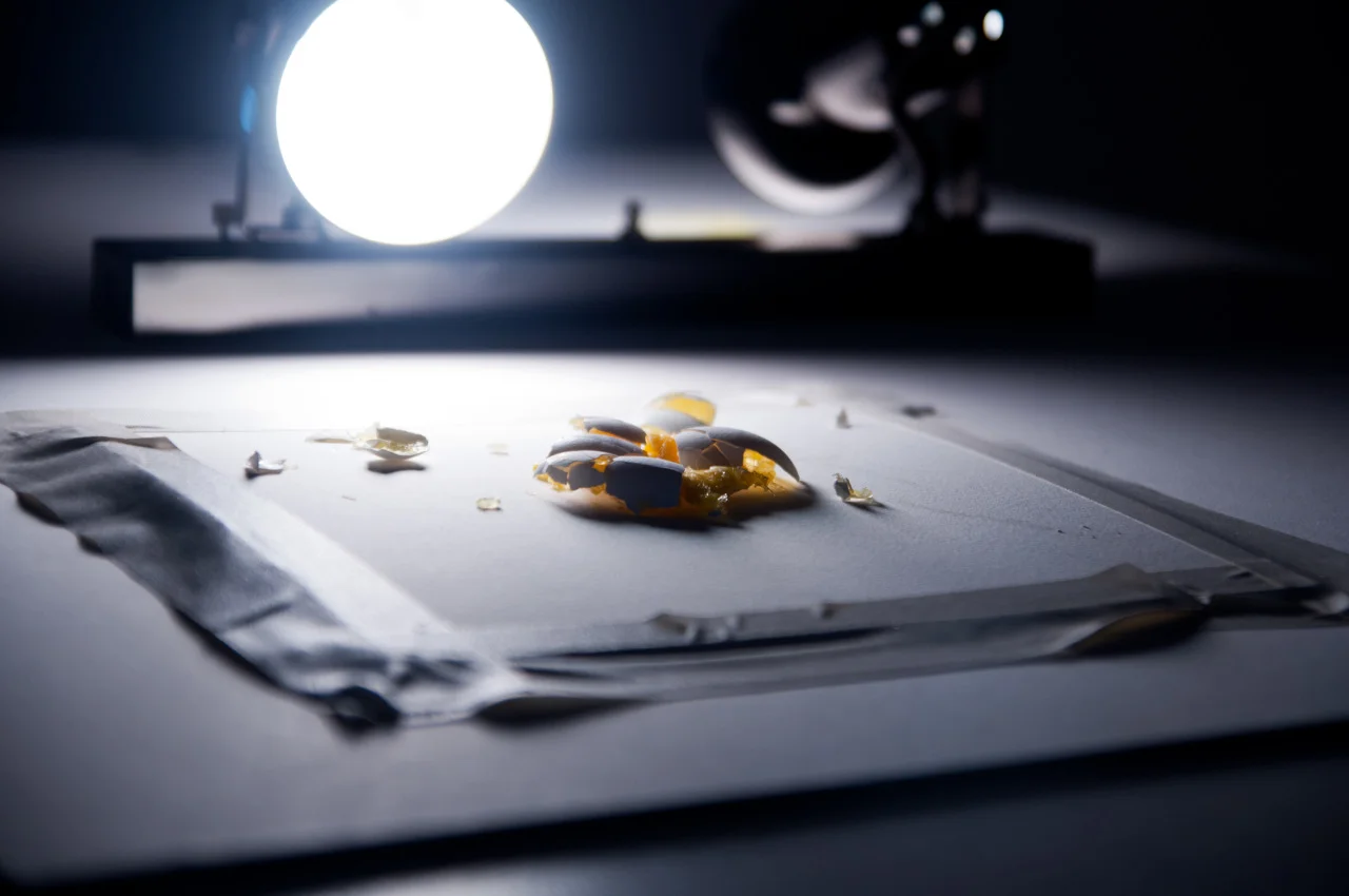 For an Exchange Program: Doing, Undoing, Repeat | Surplus Space