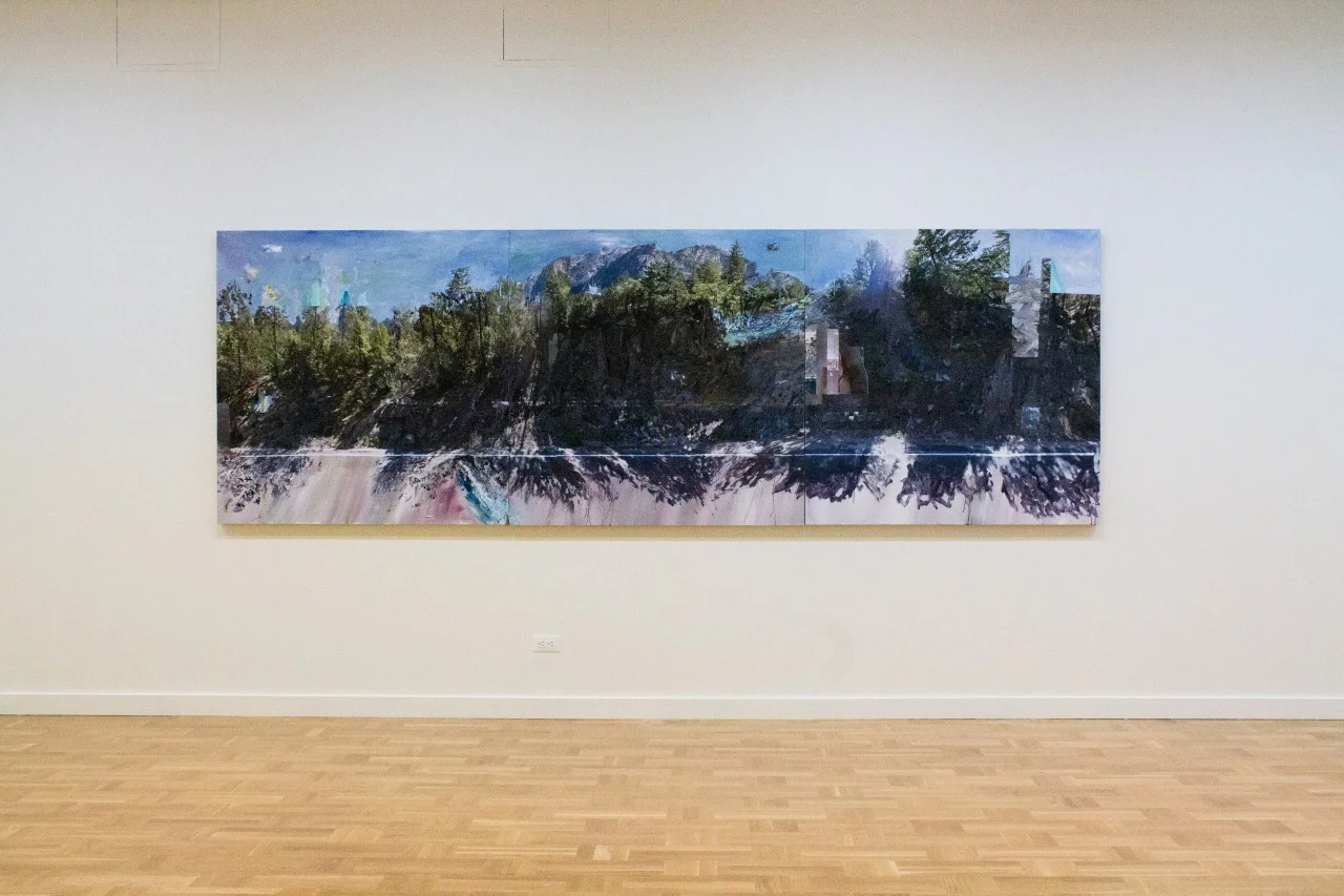 Loose Associations | BFA Thesis Exhibition 2014