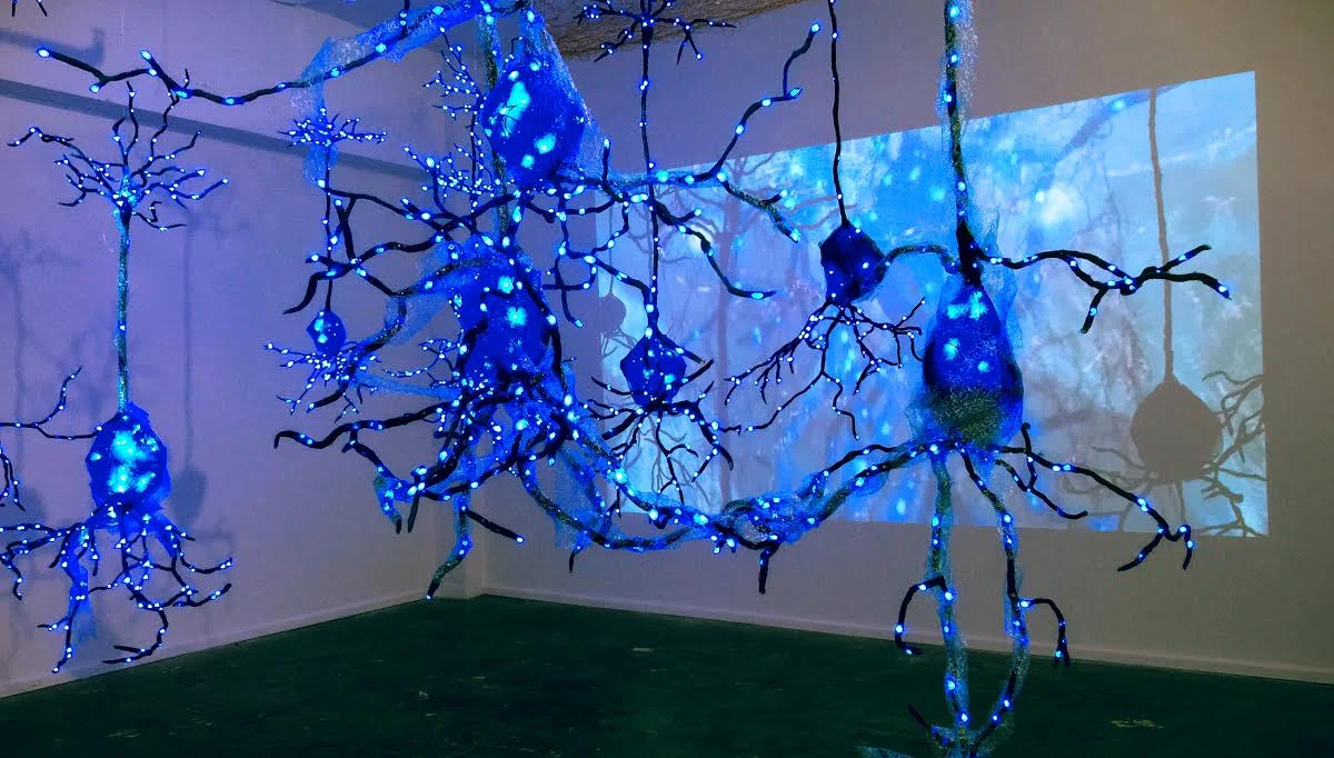 Illuminated Wilderness: Memory | Kindra Crick