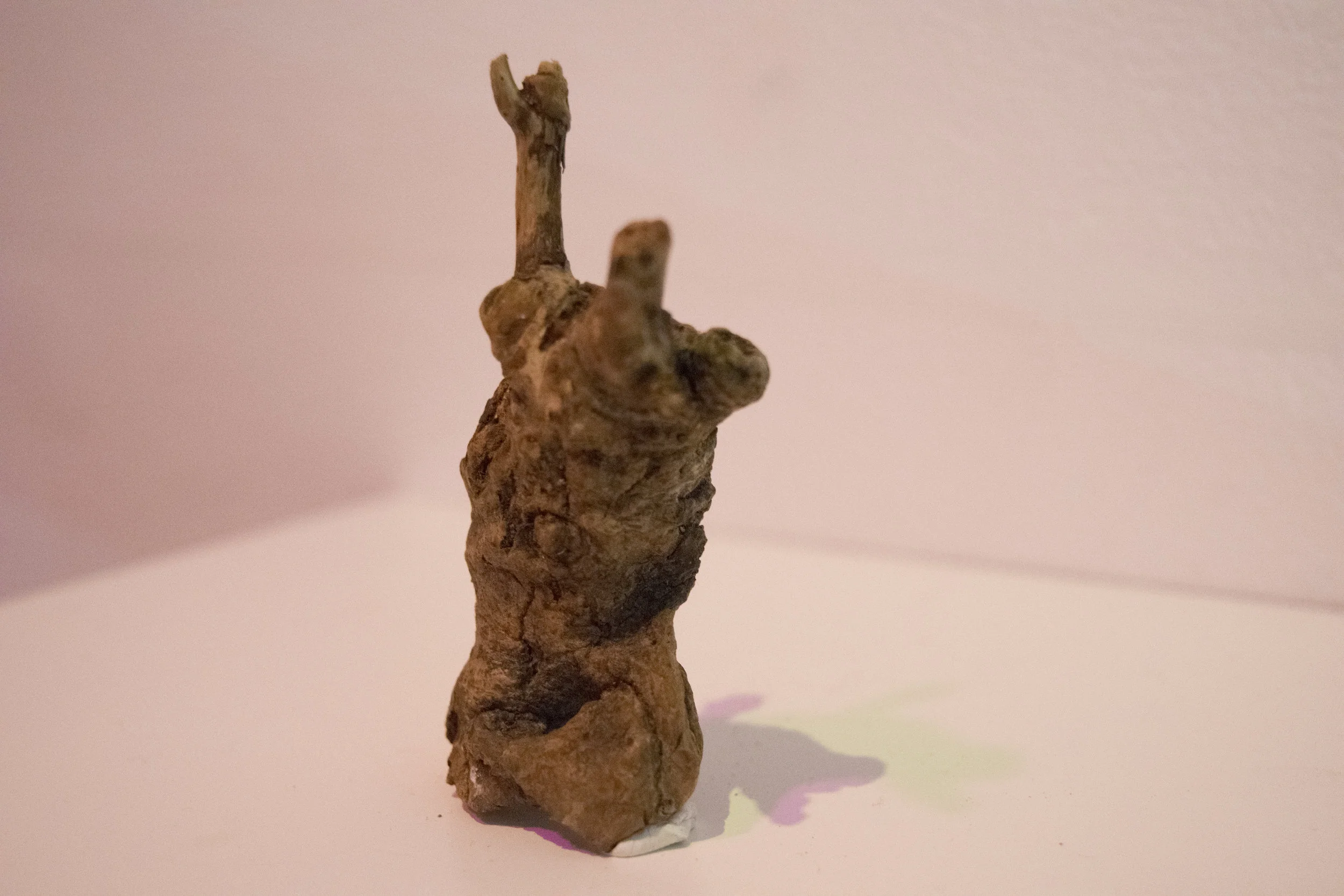 DSC_0446.jpg
