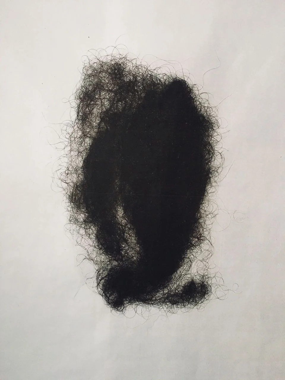 5 Portland artists recognized with $25,000 Joan Mitchell Foundation grants