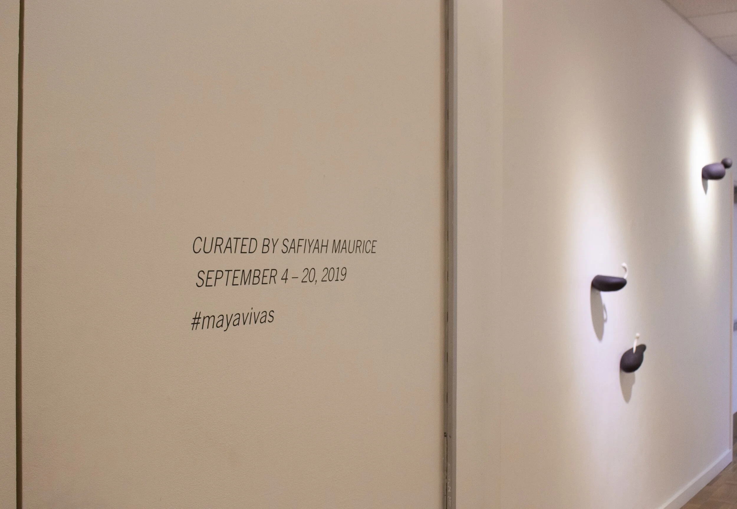 Gallery View, Vivas