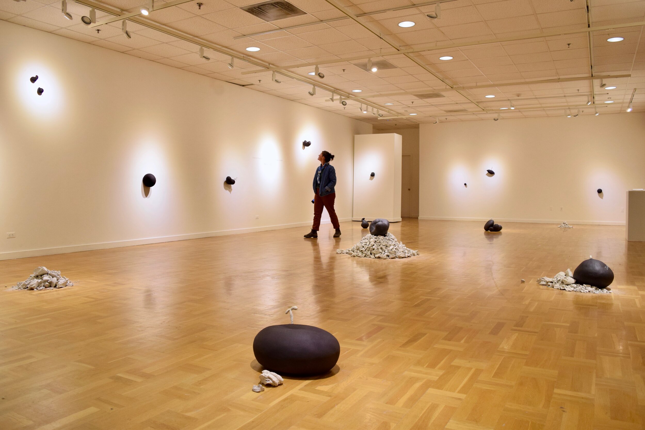 Reception, Gallery View, Vivas