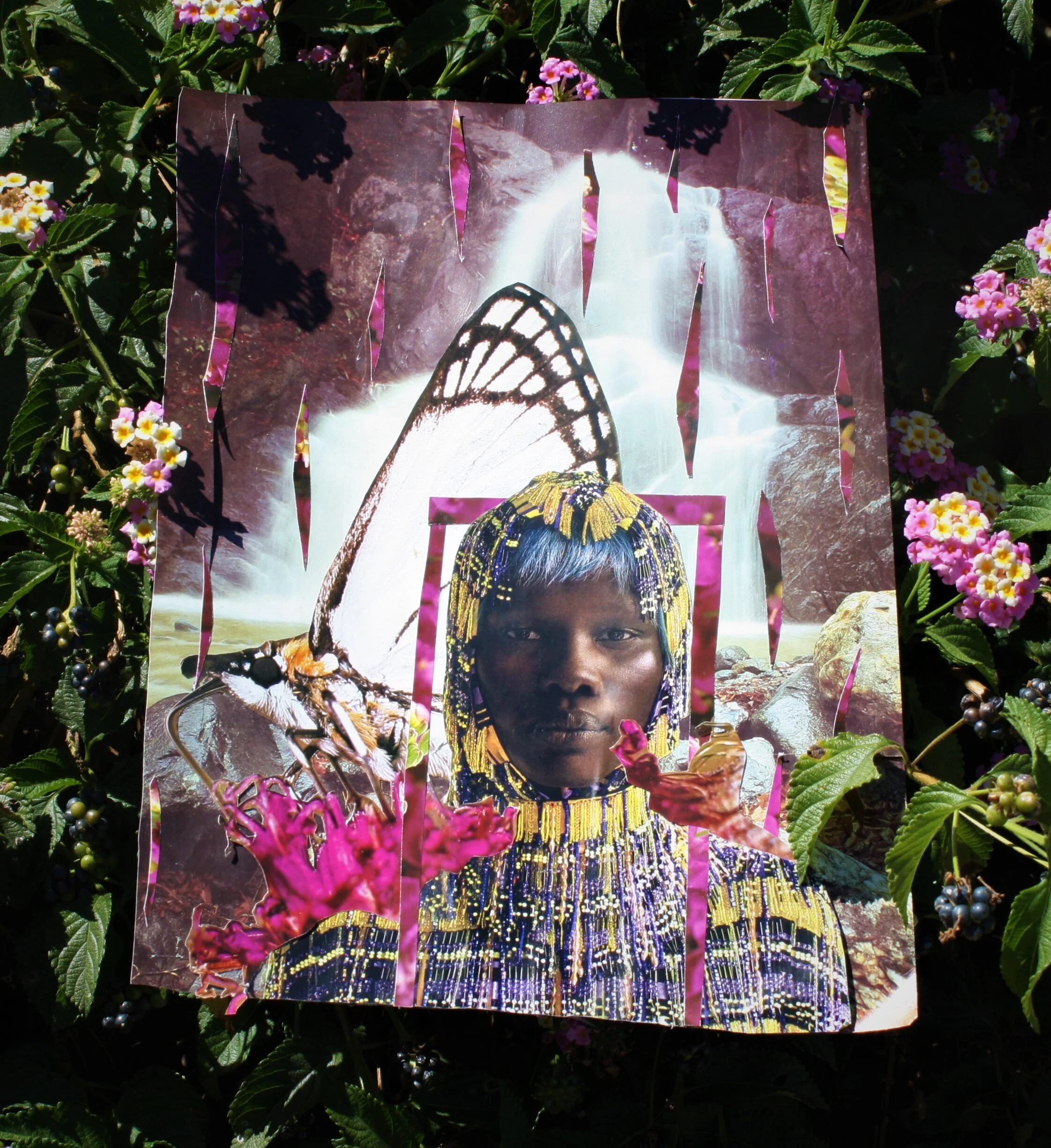 Trials of Blackness | Ashly Sypherd