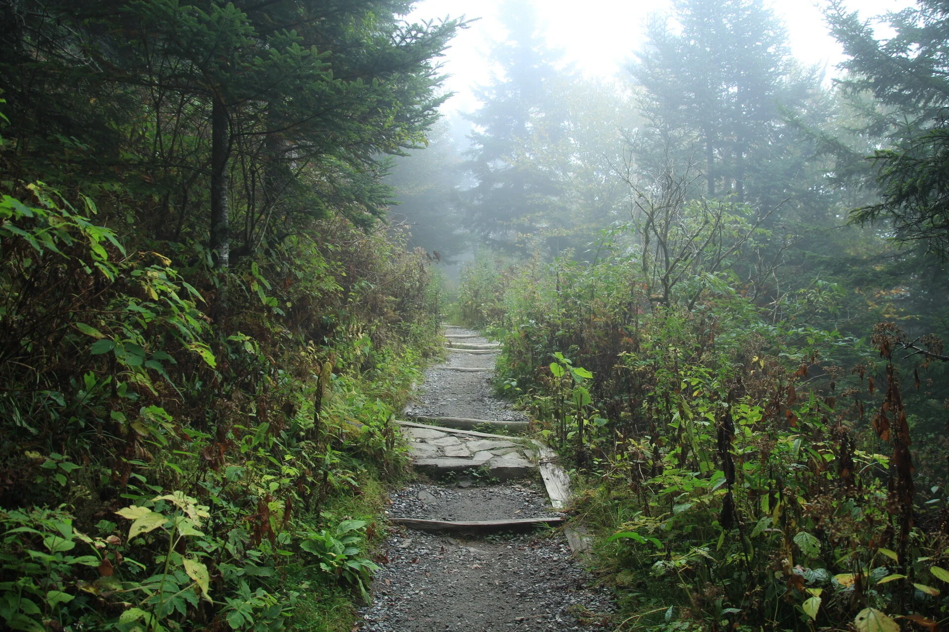 Copy of 3 tips to turn your Hike into Meditation