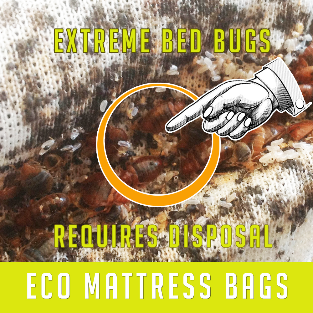 Bed Bug Mattress Cover - Prevent Bugs from Getting In and Out