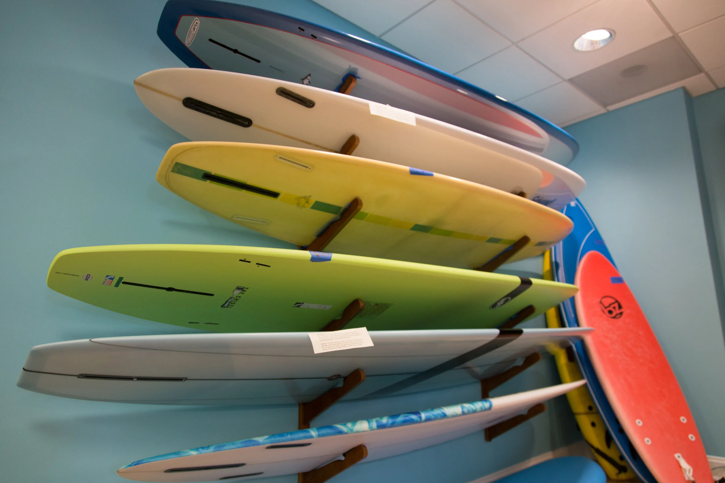 Lucky Dog Surf Co Sea Bright, NJ