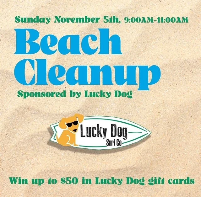 Beach Cleanup