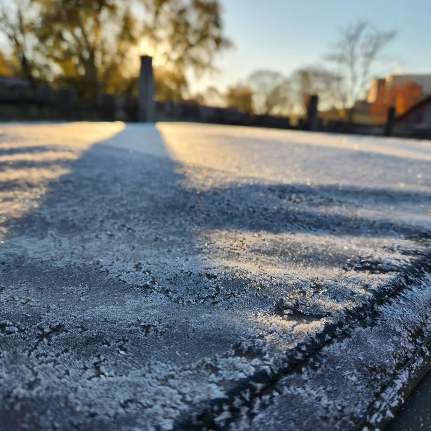 The first hard frost of the year arrived yesterday, Nov 2. Expected, in line with historical averages, and perfectly abrupt. It's like the sudden halt of a roller coaster pulling back onto the platform. 
Dahlias, okra, peppers and maters all withered