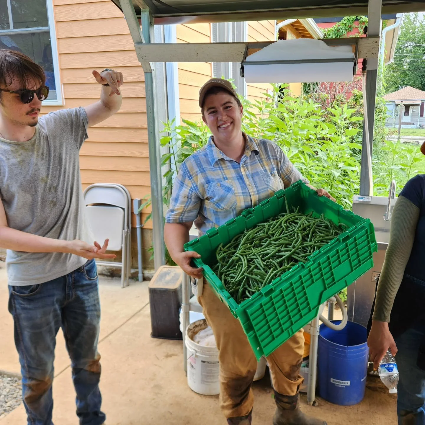 #farmcamp interns are in the house, picking beans and tomatoes headed to the West End market this afternoon!
There's still time for your little farmers to join the camp July 21-25! Check the link in our bio for details and to sign up!
