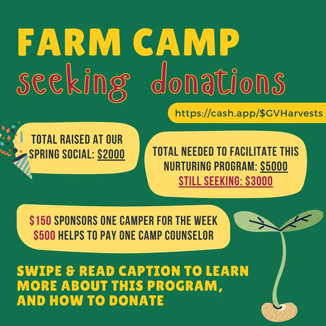 Seeking donations for farm camp 🌱 

We raised $2000 at our Spring Social 🎉 but we are hoping to reach $5000 to cover the costs of this fun and nurturing program.

$150 sponsors one camper for a week
$500 helps to pay one camp counselor

CAMPER &amp