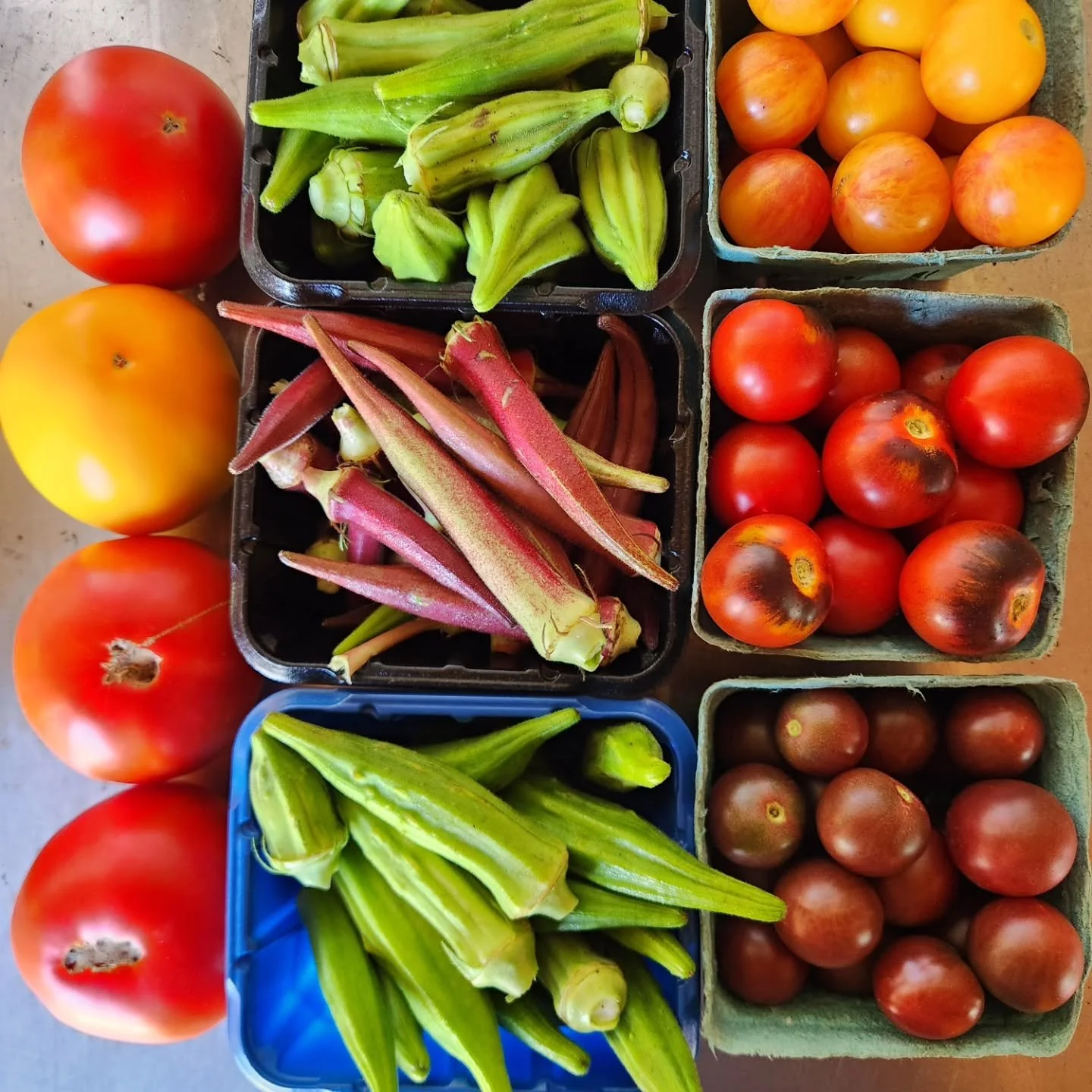 Summer is in full effect at Lick Run Farm!
Okra, squash, cucumbers, carrots and more are available 24/7 in the farmstand.
For tomatoes, come 9-4 on weekdays and ring the doorbell🍅🥕🥒🫑🍆
#eatokra #eatyouryard #tomatosandwich