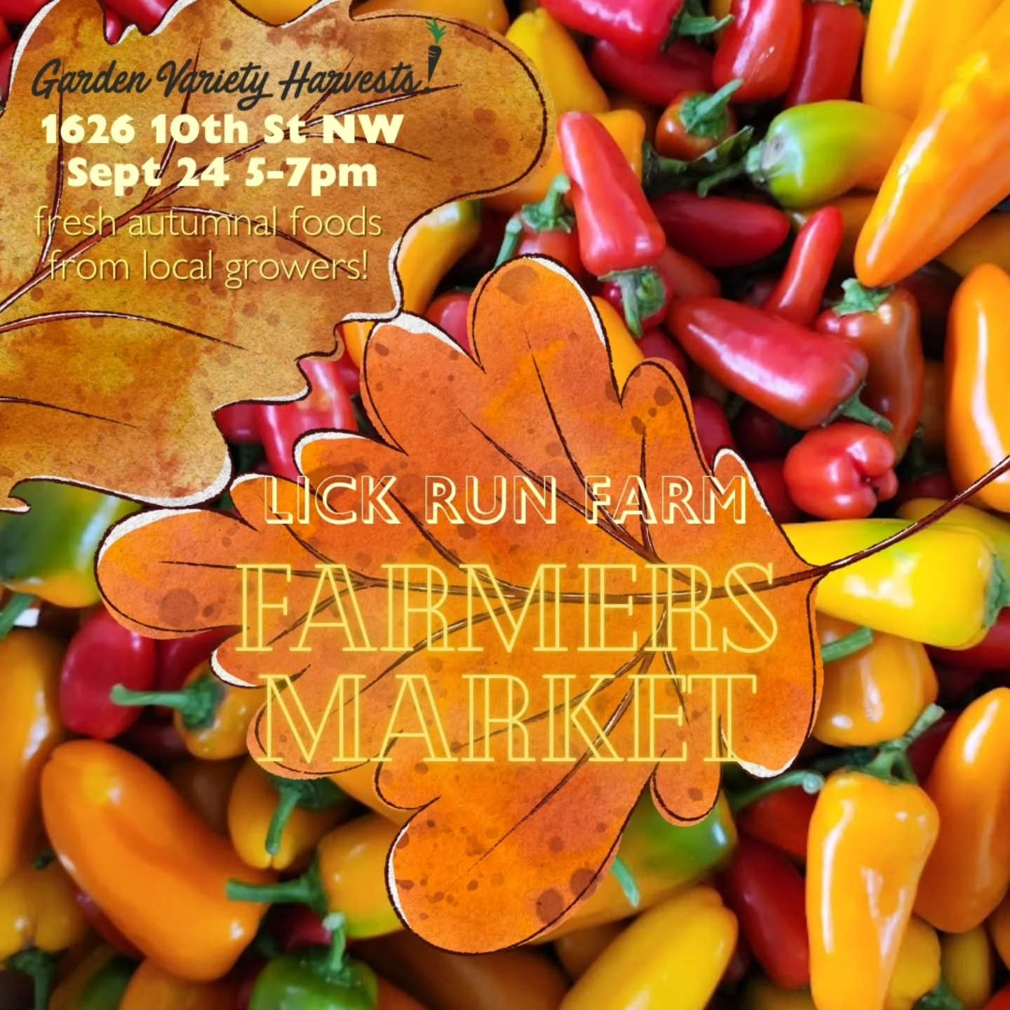 Gearing up for another market at Lick Run Farm this Wednesday! Fall veggies are flowing in, and vendors are poised with meats, cheeses, fruit, bread and eggs! Come shop with us Wednesday from 5-7pm. 
@ritualbreads @singingspringfarm @heyteatotal @mon