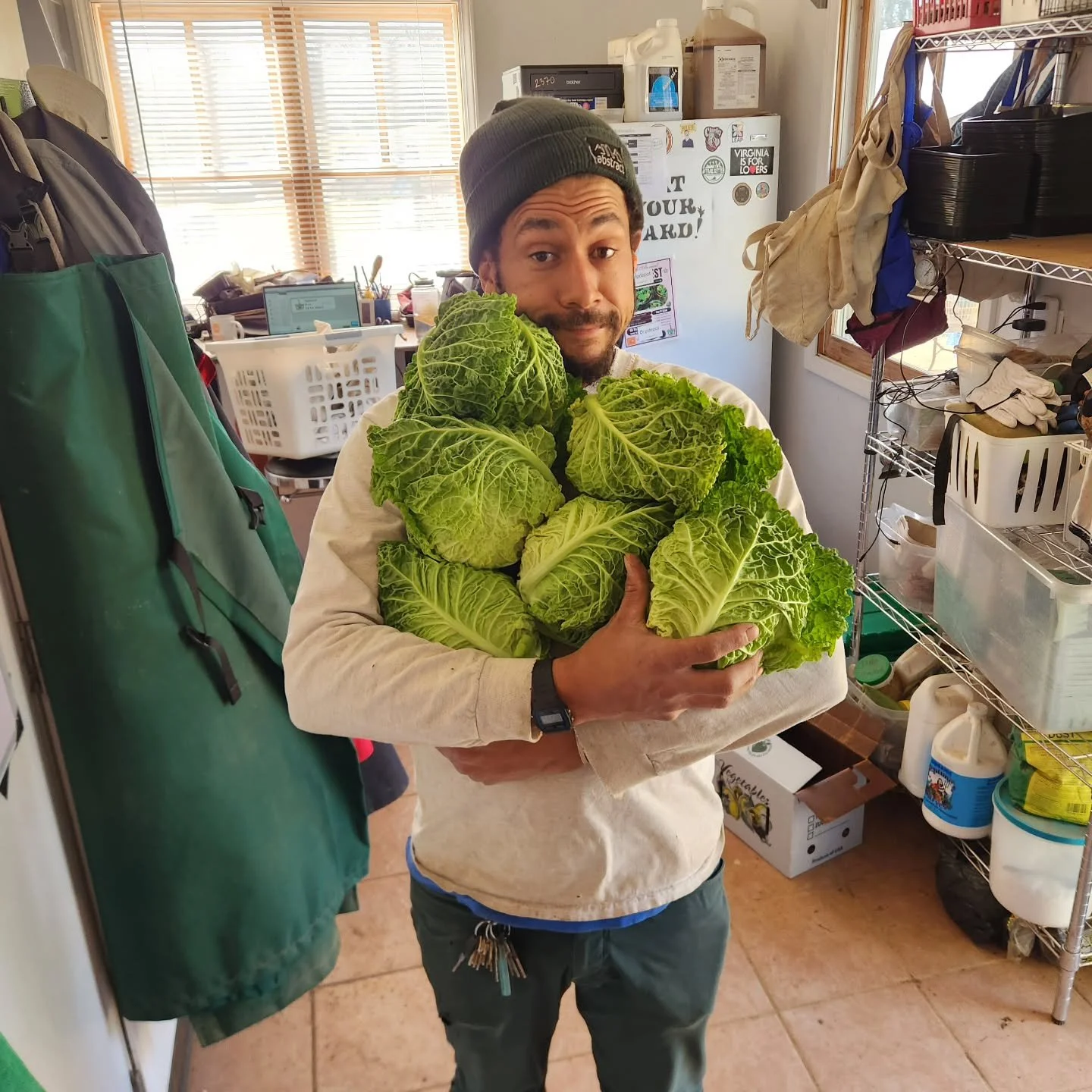 Just two more markets before hibernation season! Come get some cabbage at the Grandin Market this morning, 8am-12noon!
#savoy? #orisitnapa?