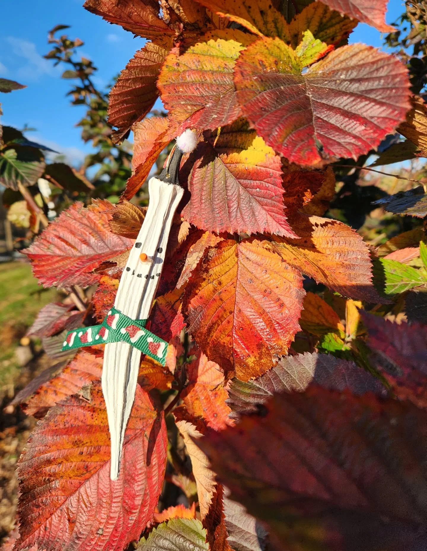 We've been busy in the workshop, and in the kitchen!
Very excited for the @goldencactusbrewing foodie market this evening: 5-8pm!
Our first ever ginger pickles, loads of new okra ornament designs, and farm-fresh hummus snacks!
Come enjoy a brew and g