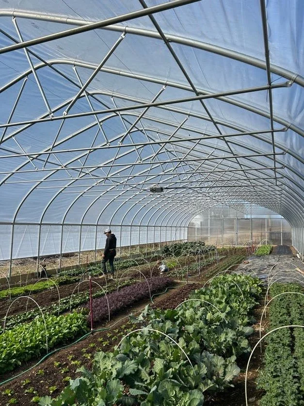 tunnel with kora.jpg