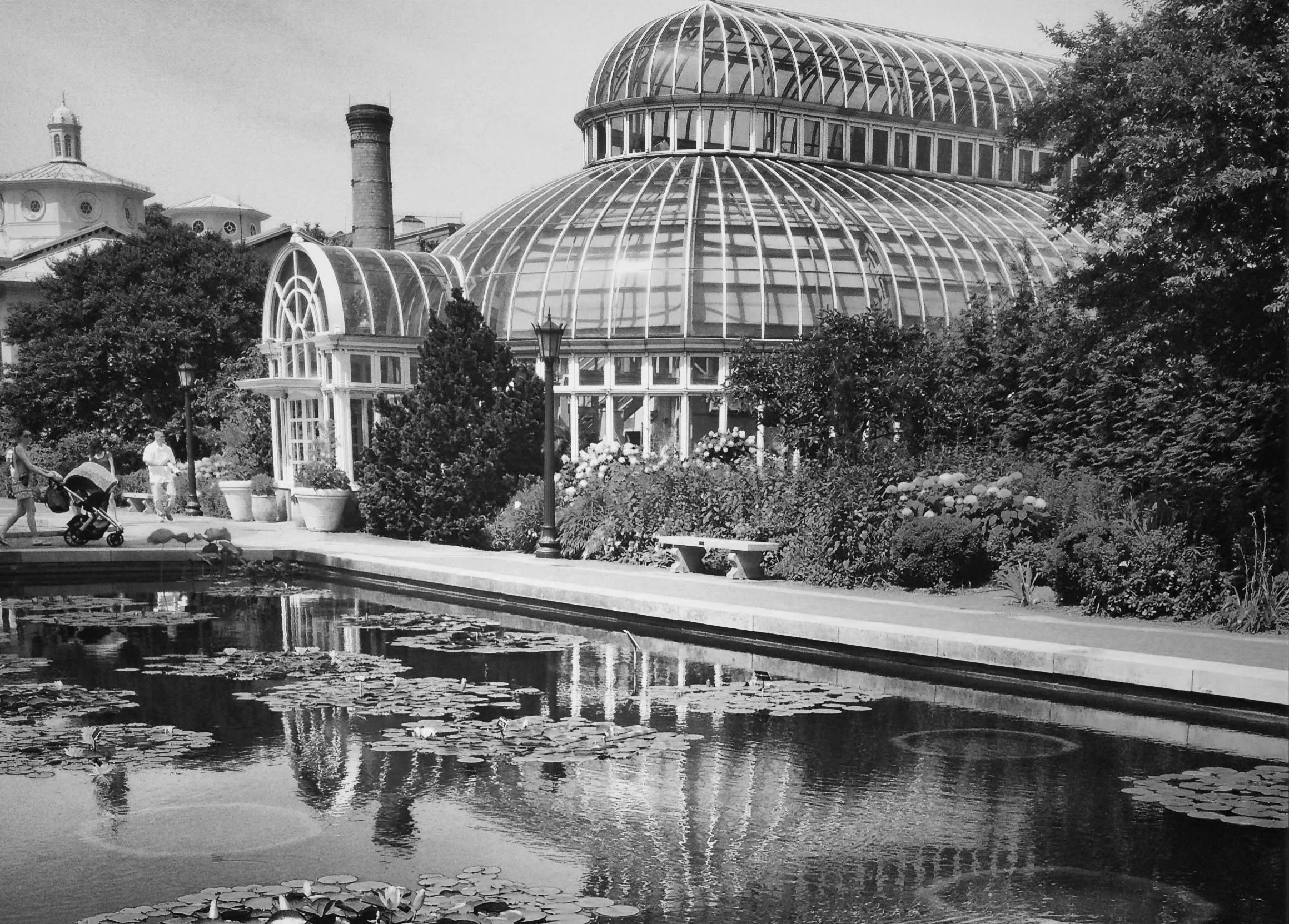 Palm House Exterior_crop_BW.jpg