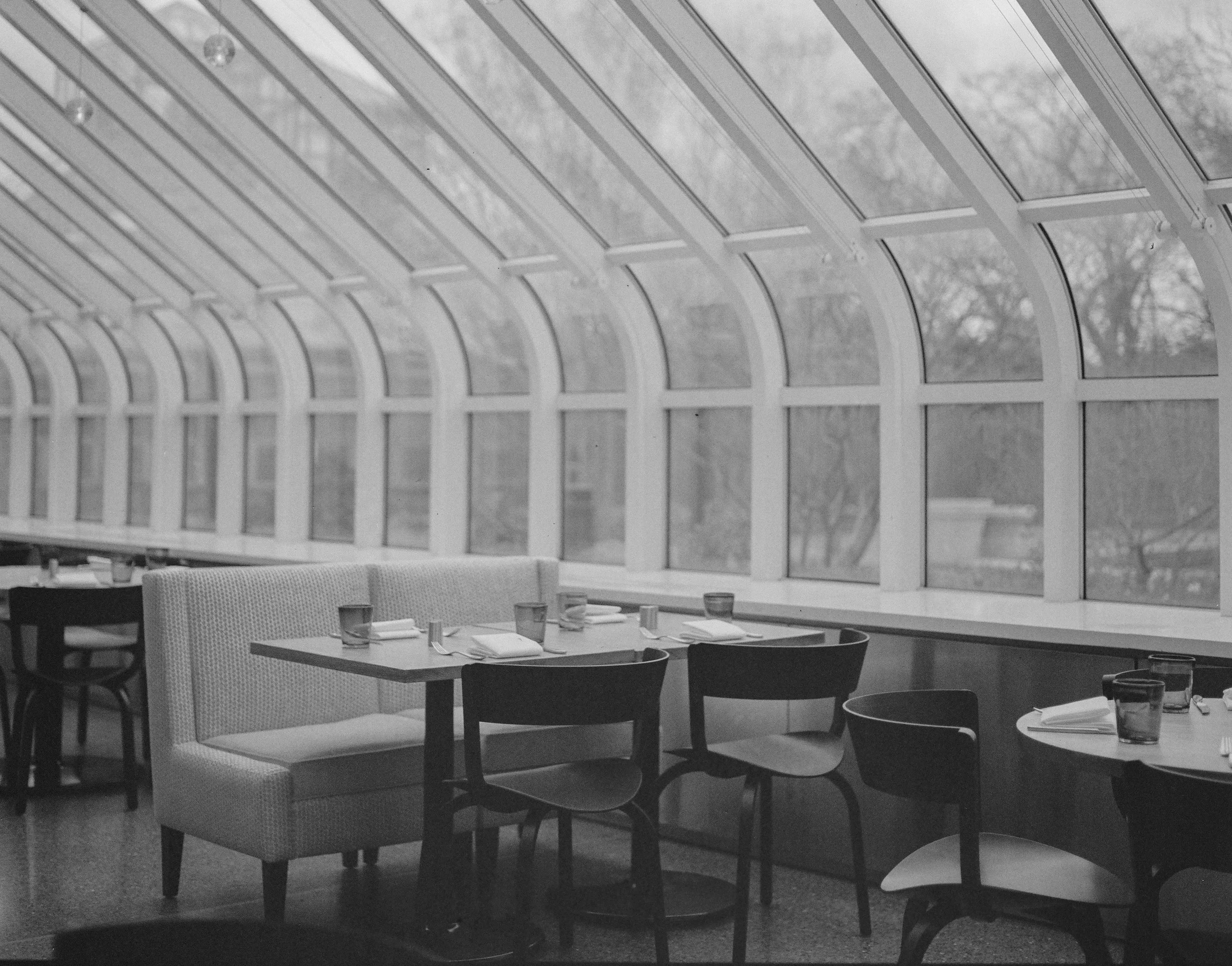 Yellow Magnolia Café Hasselblad_NYT.B+W.jpg