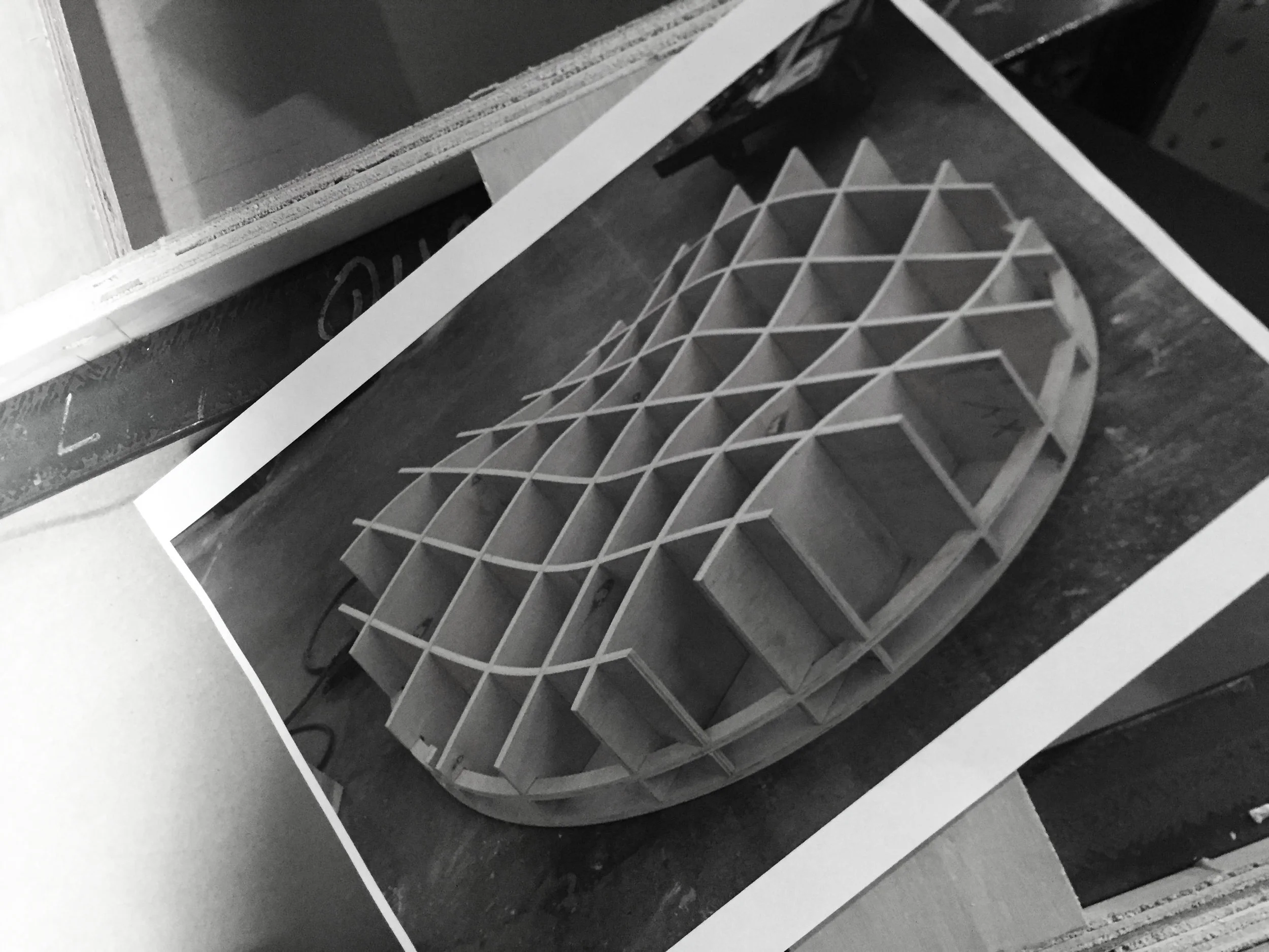 process ribBW.jpg