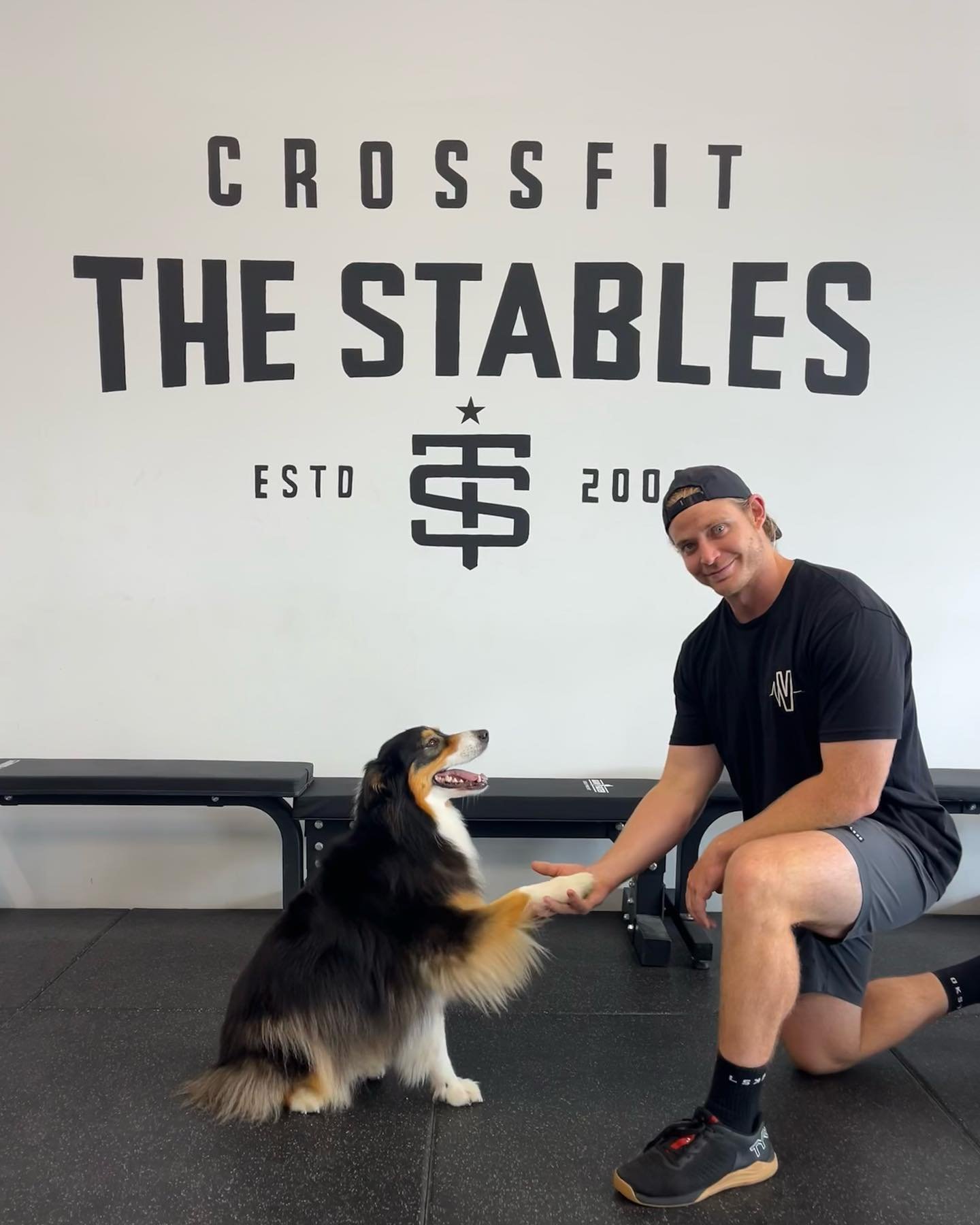 We welcome all shapes and sizes into The Stables 🐶

Come on down to Mooloolaba, bring your furry friend and get stuck into some fitness with the Stables crew 🏋🏼&zwj;♂️🏃🏼