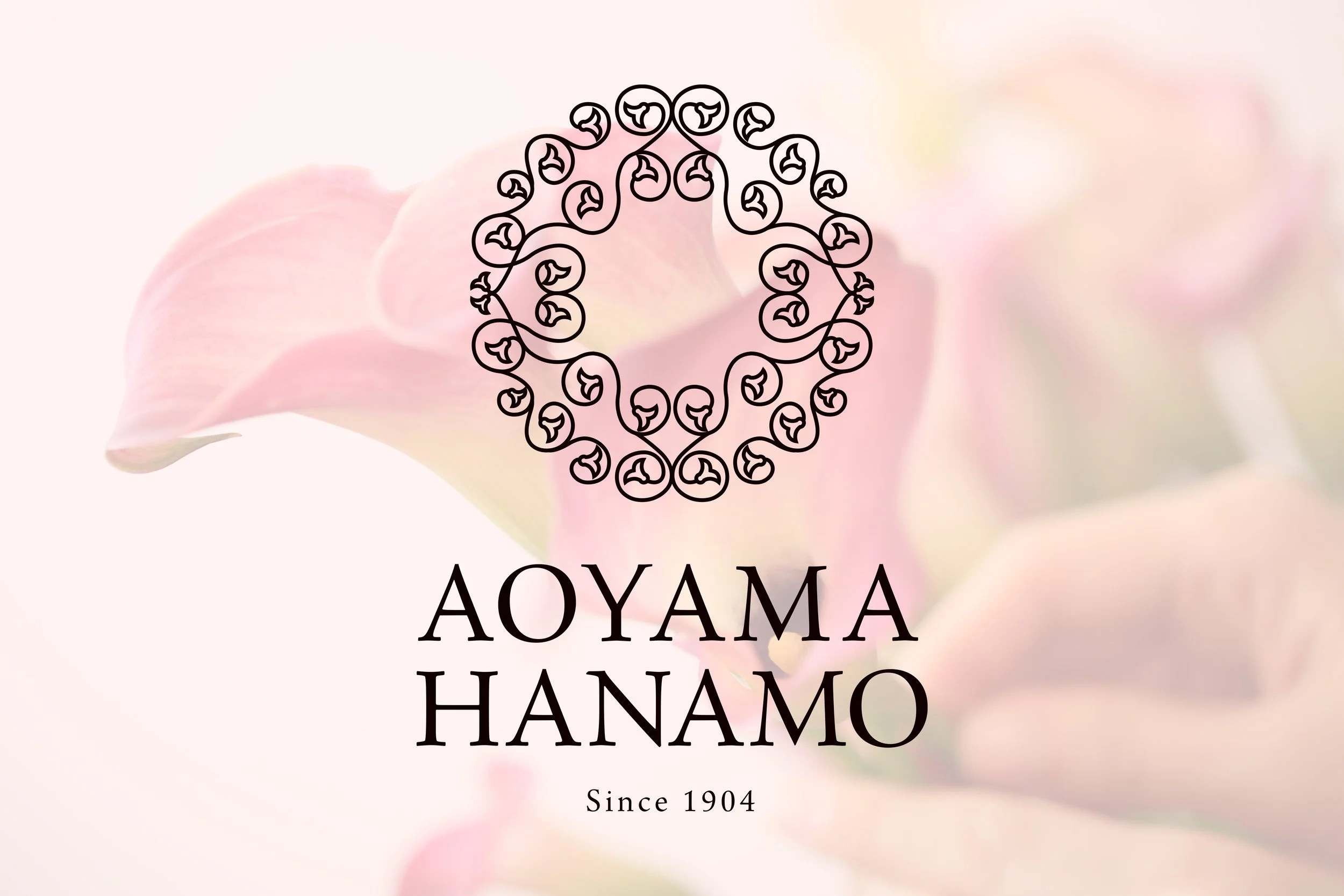 hanamo_pic copy.jpg