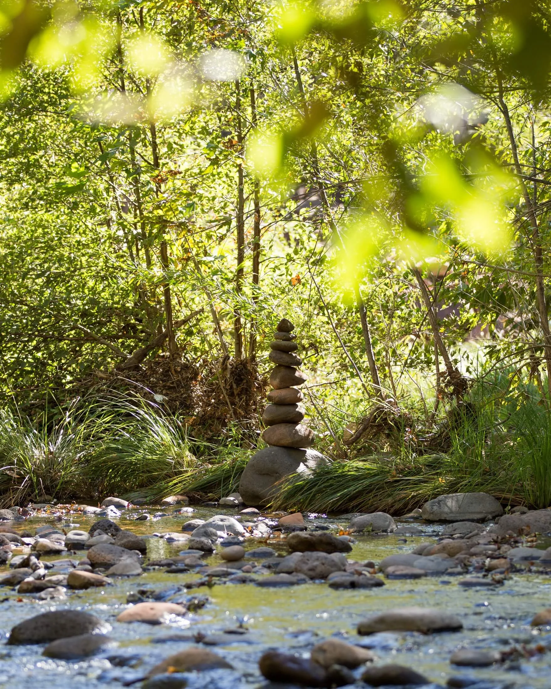 Mindfulness Meditation