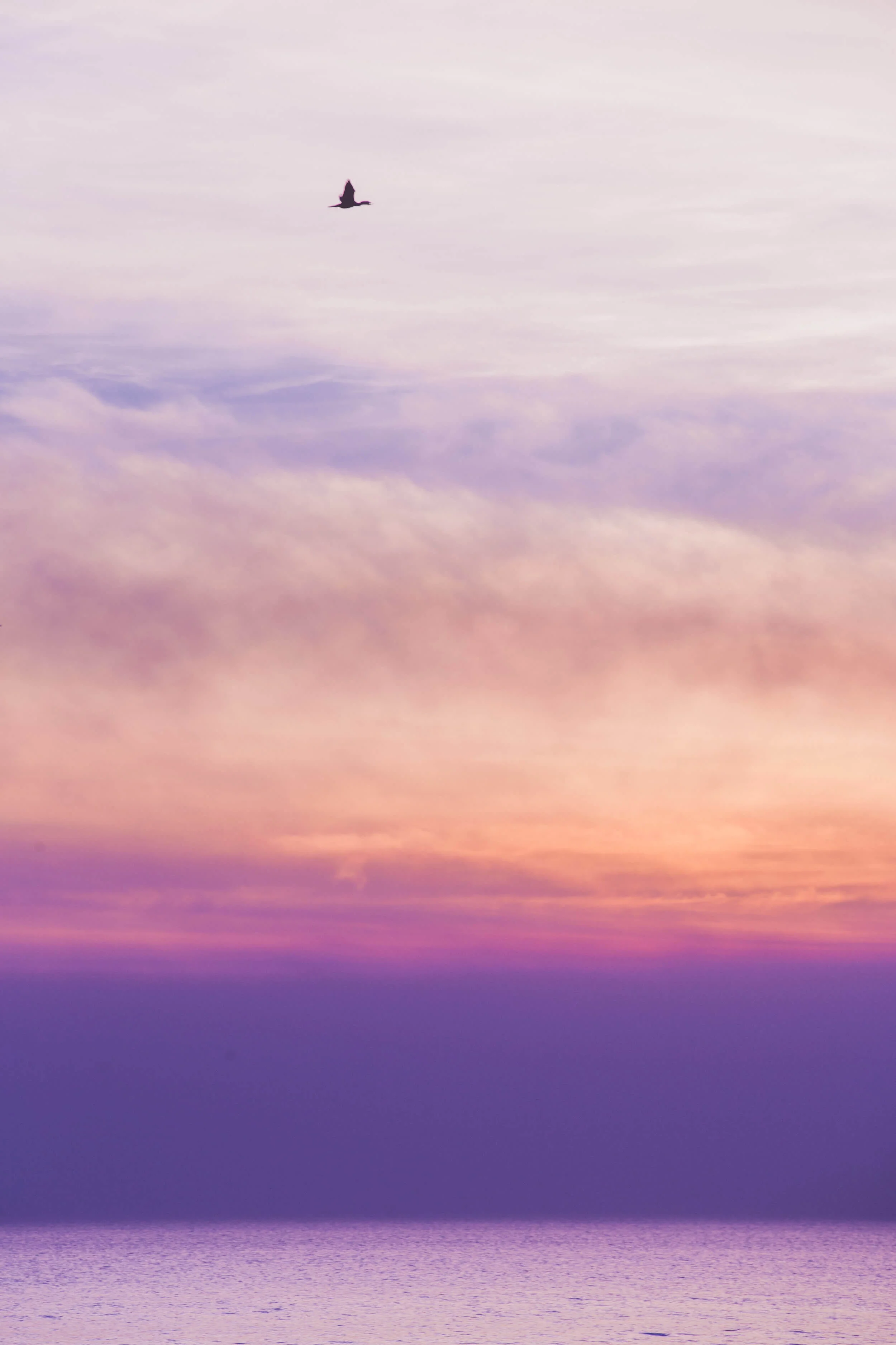 Focus Therapy, Encinitas, California