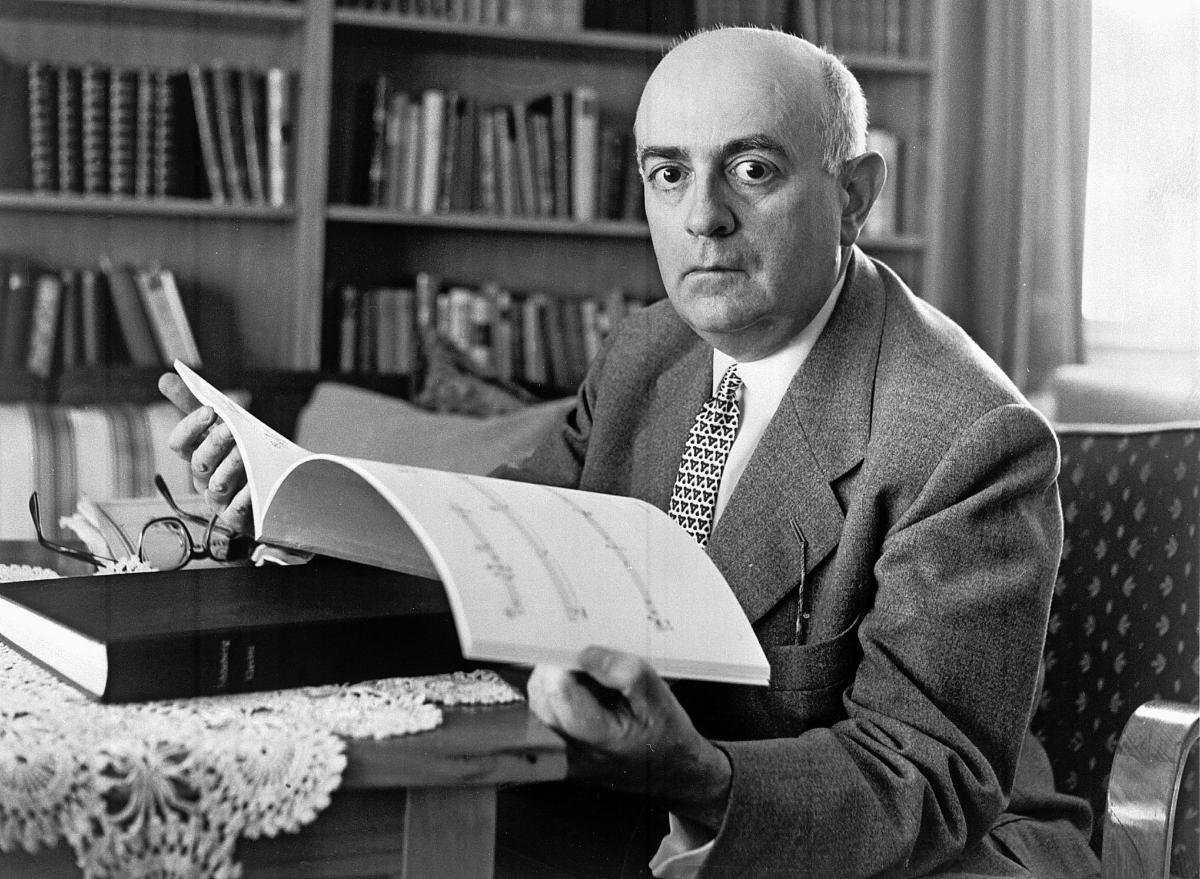 adorno-sitting.jpeg
