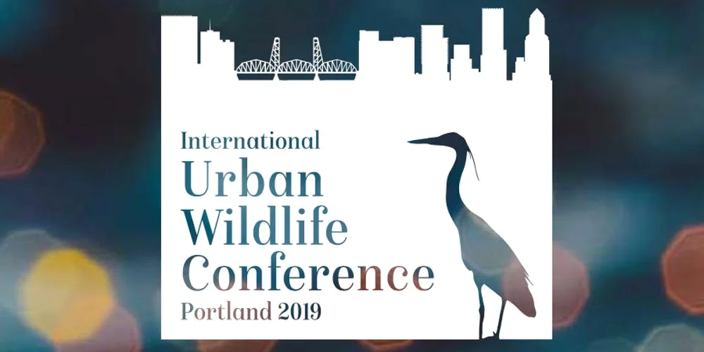 Trace Fleeman y Garcia makes poster presentation at the International Urban Wildlife Conference at Portland State University
