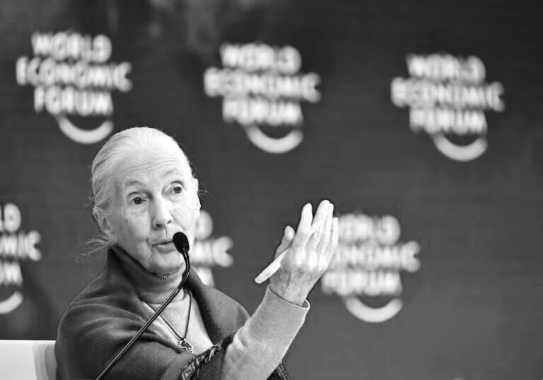 Jane Goodall says "disrespect for animals" caused pandemic
