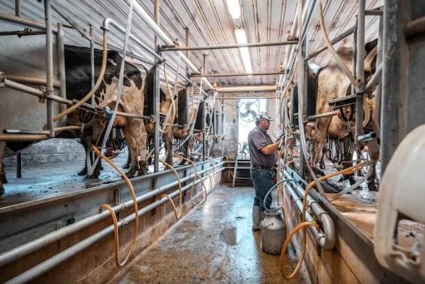 Wet markets breed contagions like the coronavirus. The U.S. has thousands of them