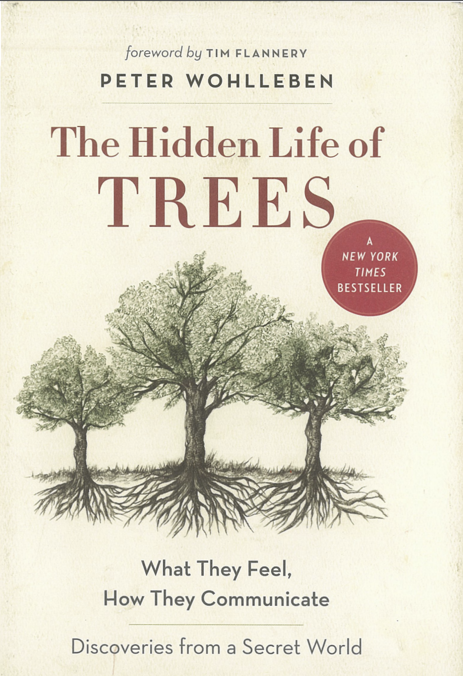 Peter Wohlleben, selections from The Hidden Life of Trees (Copy)