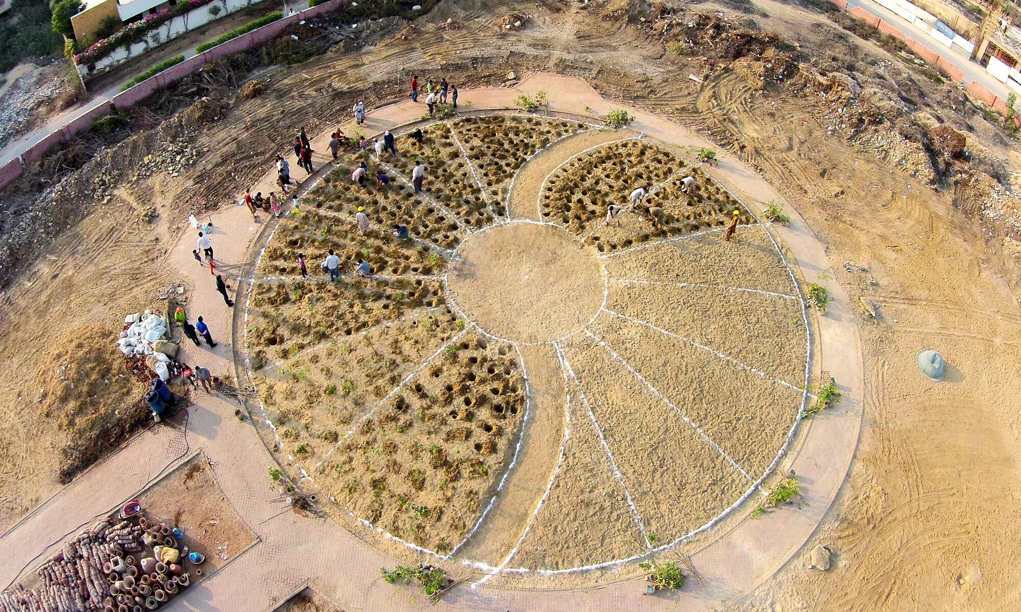 How to grow your own Tiny Forest