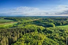 Relationships between forests and weather - EC Directorate General of the Environment