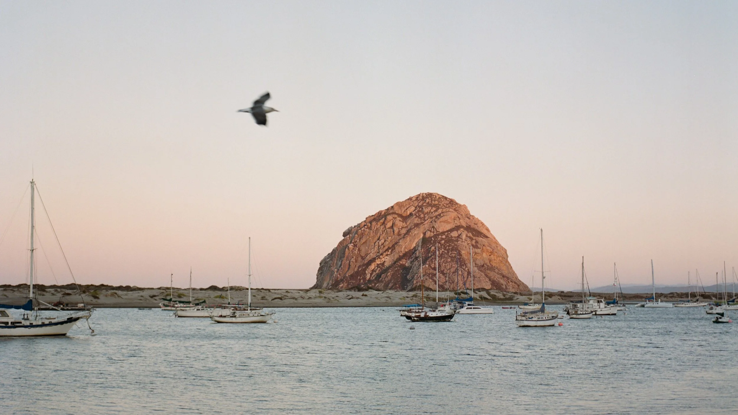 FLOATING WIND FARMS ARE ABOUT TO TRANSFORM THE OCEANS