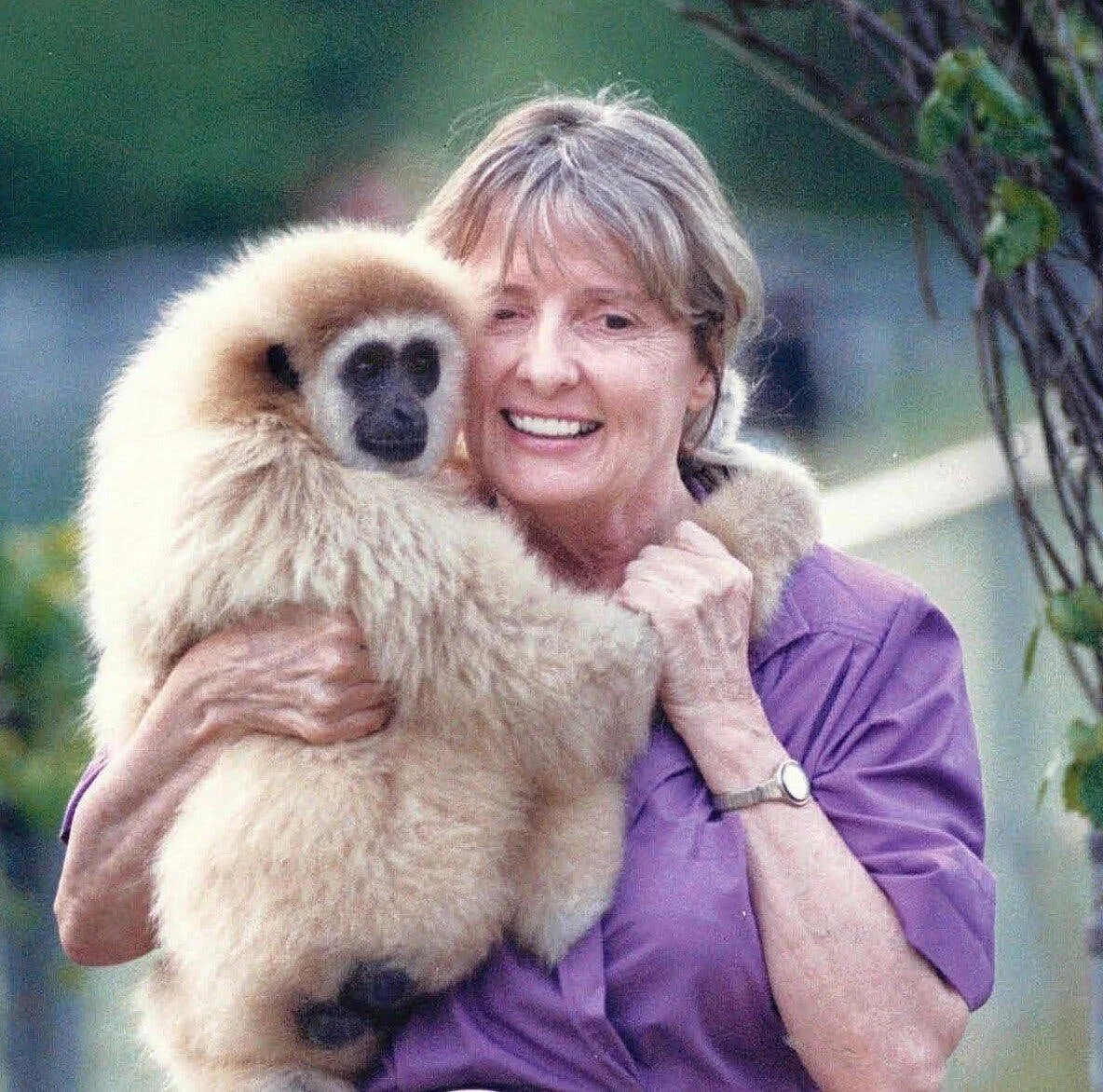 Shirley McGreal, Champion of Primates Under Threat, Dies at 87