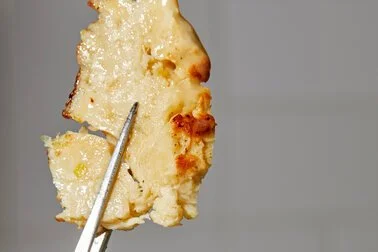 The New Secret Chicken Recipe? Animal Cells.