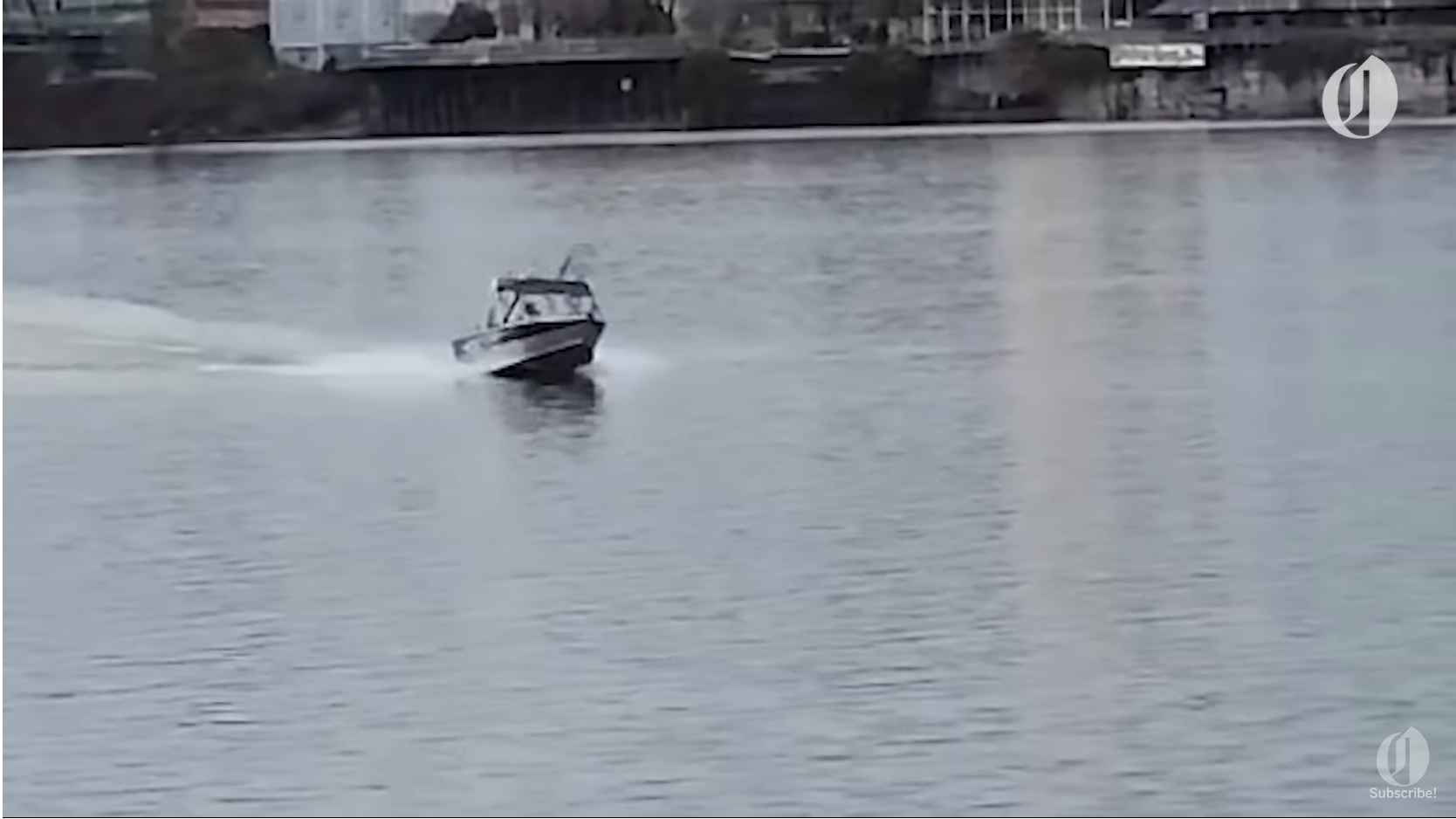 Shocking video of boat targeting sea lions underscores decades-long fishing conflict