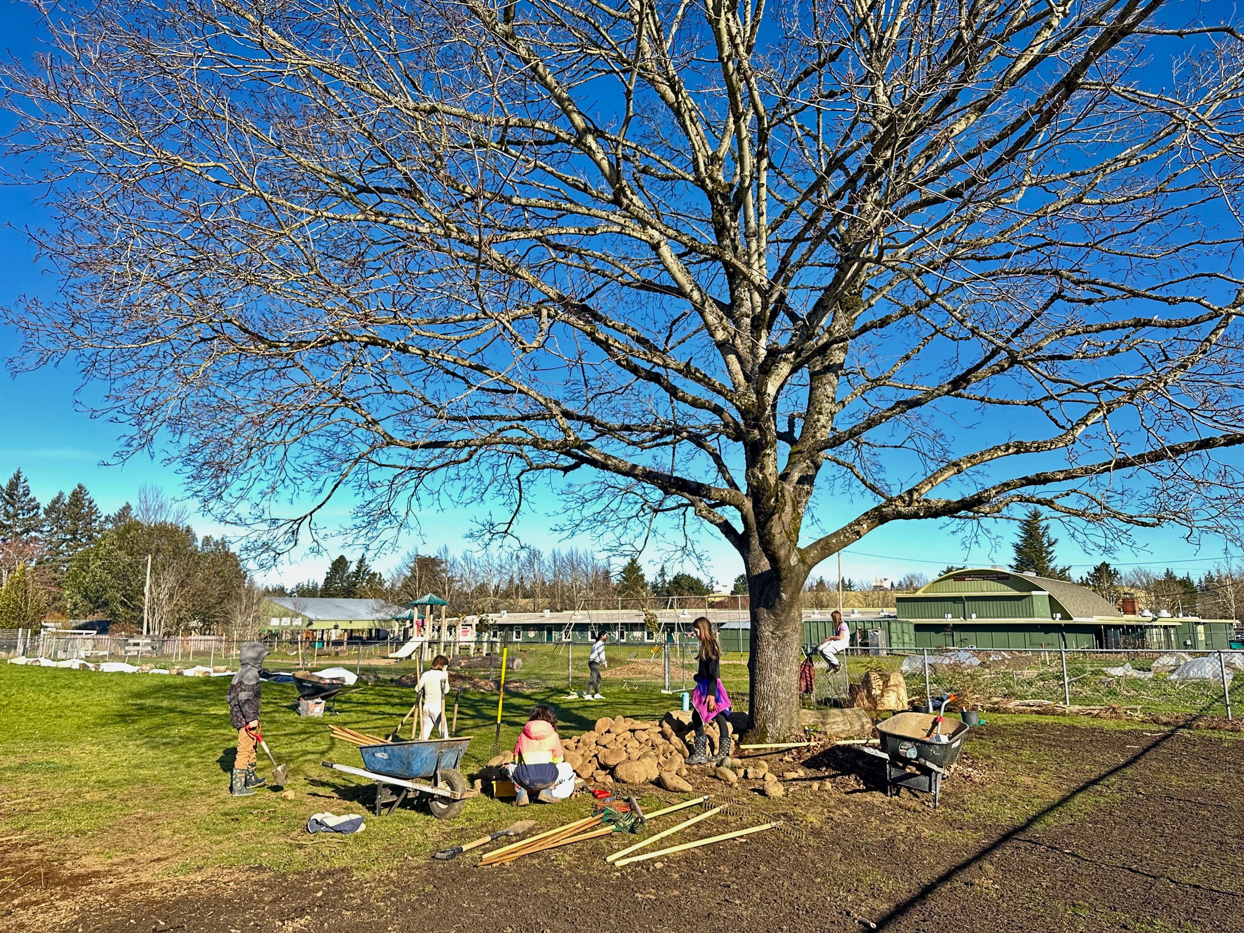 Preparing to plant on a rare sunny day.  School buildings can be seen in the background