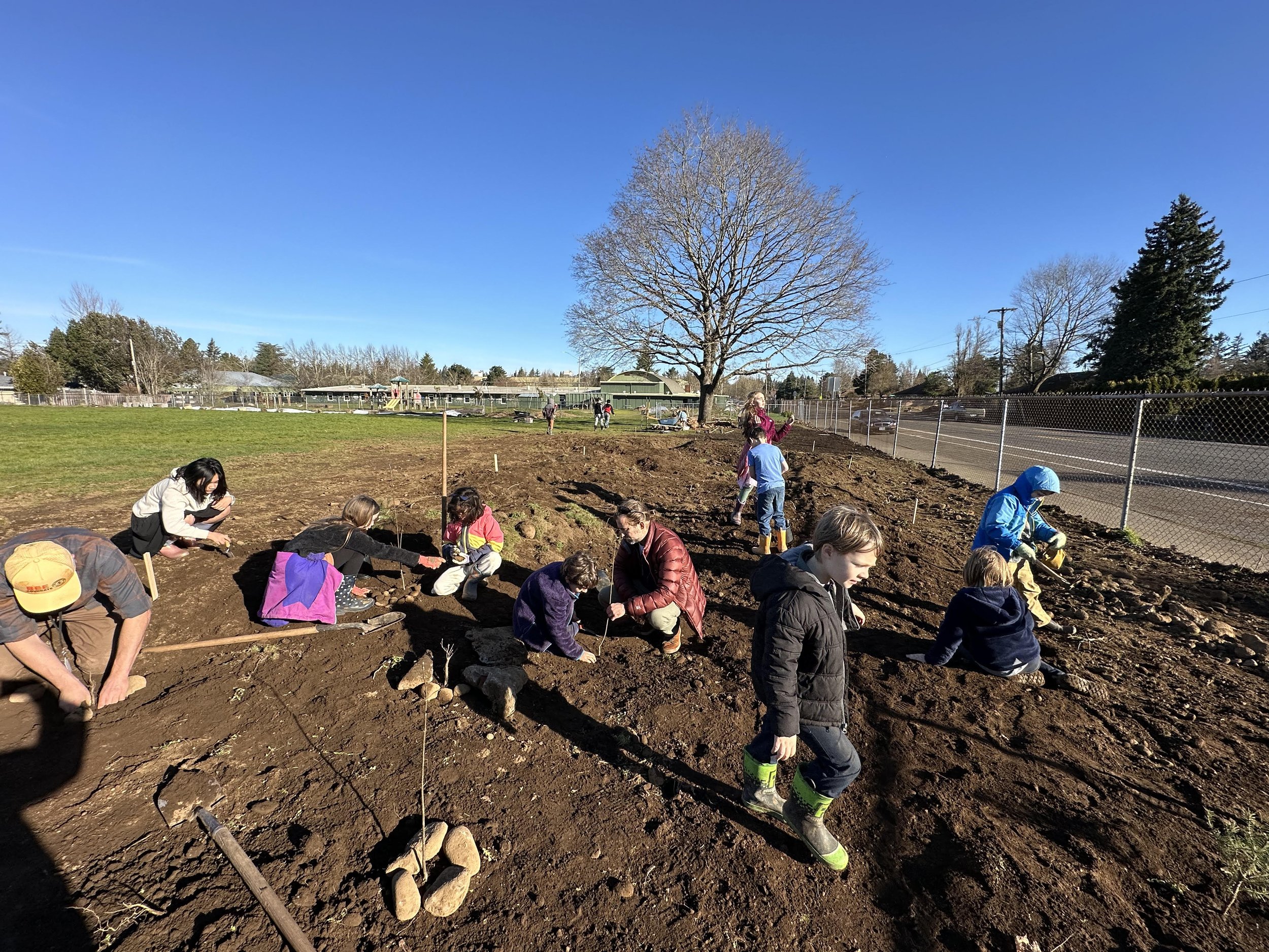 Six classes of students were taught how to plant a Tiny Forest, with the concept now fully incorporated into the FMES curriculum