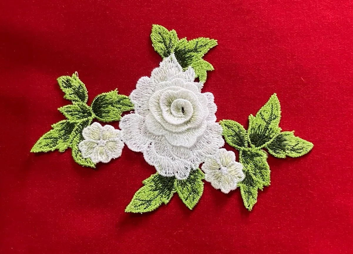 WhatsApp Image 2025-09-12 at 15.37.16.jpeg