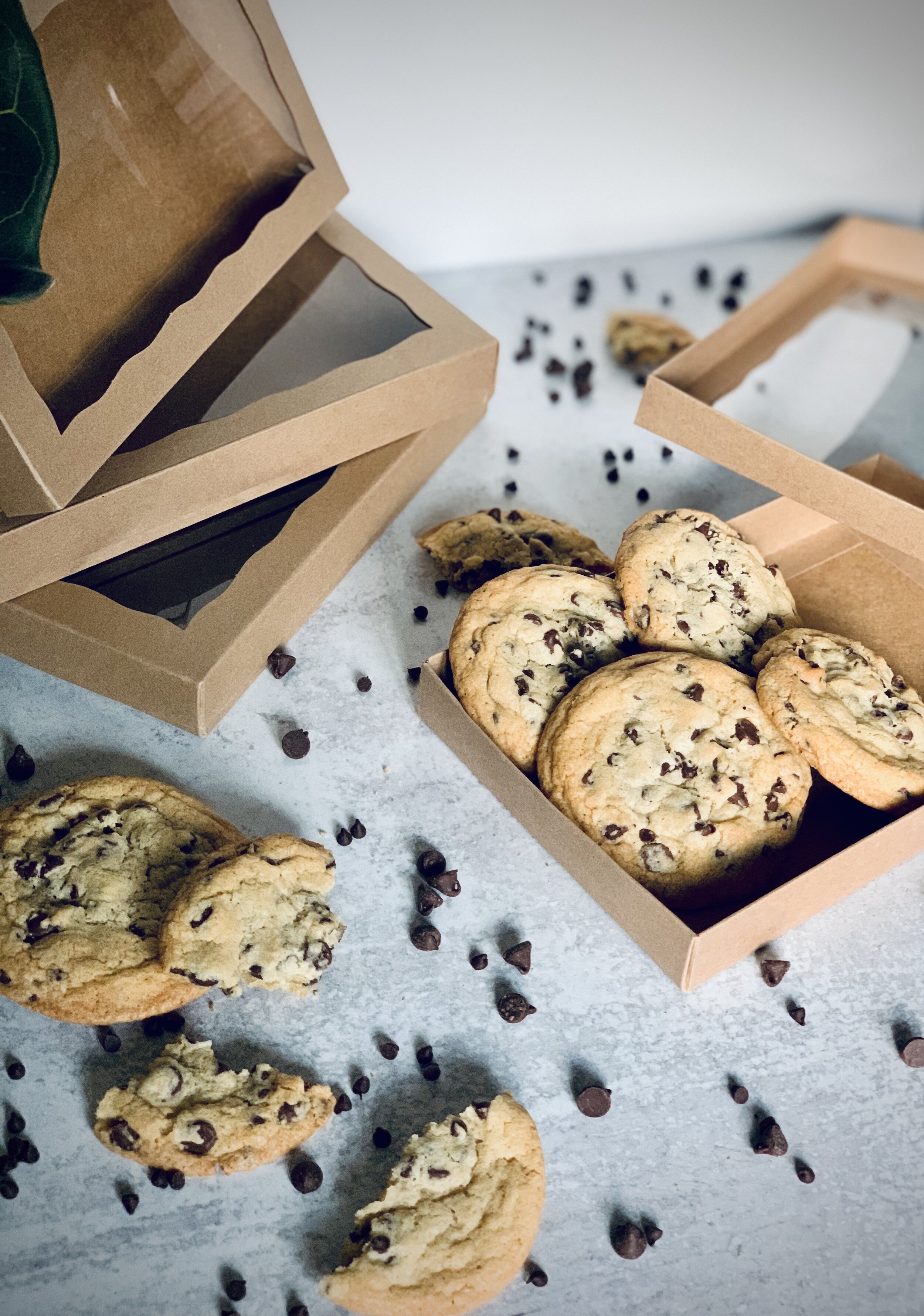 C245A276-0AEE-490A-B1FB-F4E1A5E396B7