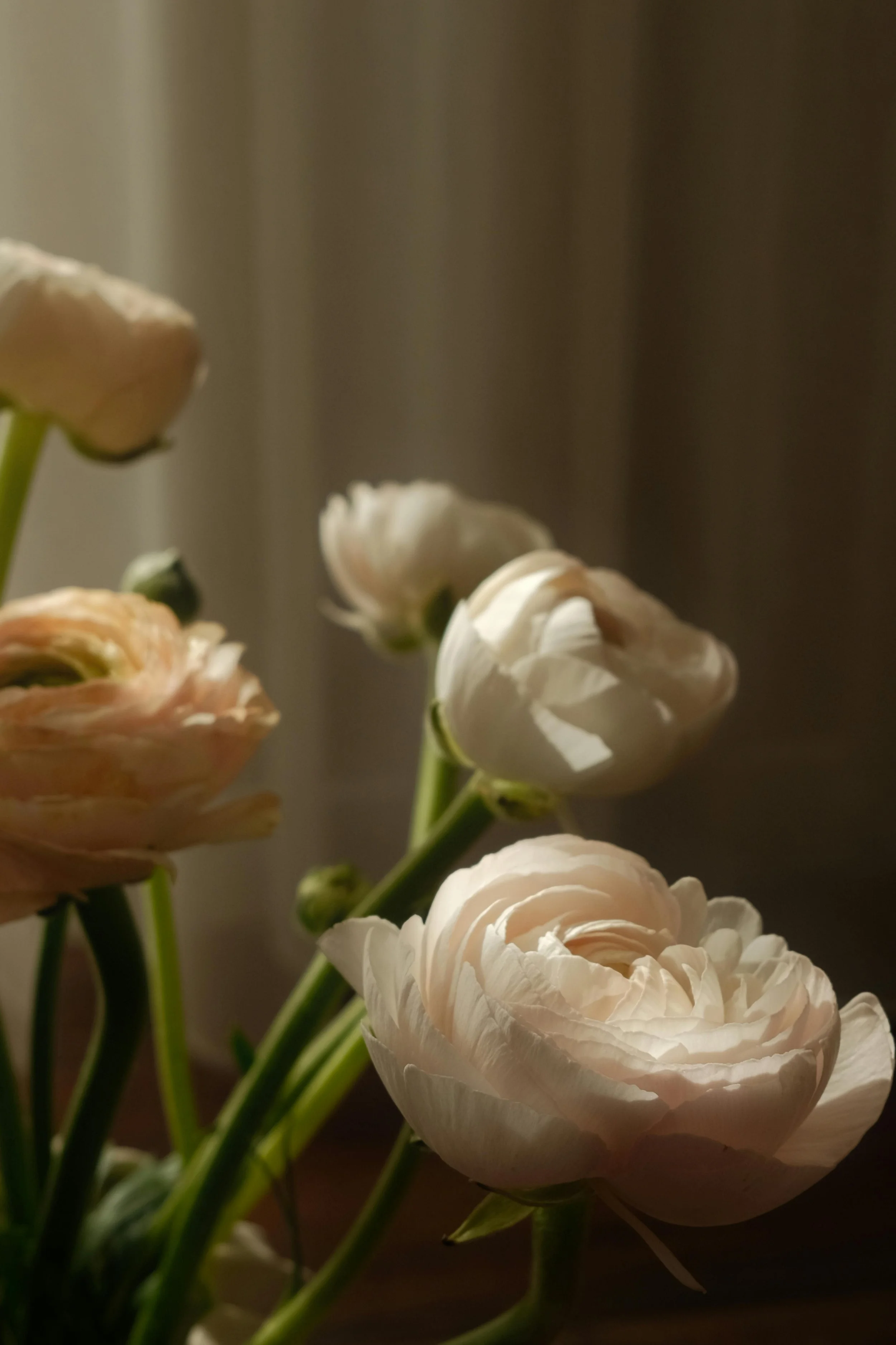 pexels-seydanur-yildiz-333883408-36534309.jpg