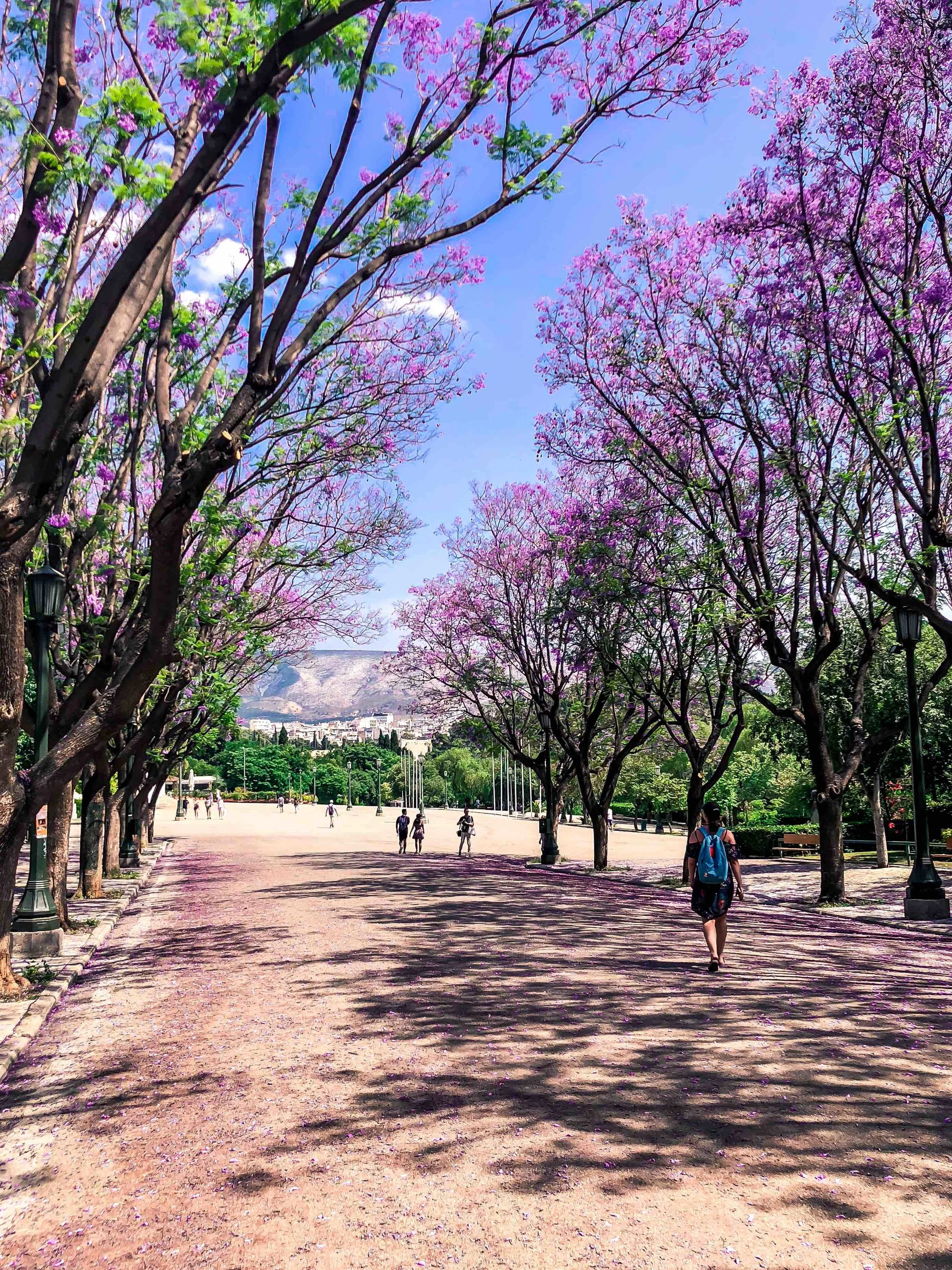 Botanical Gardens