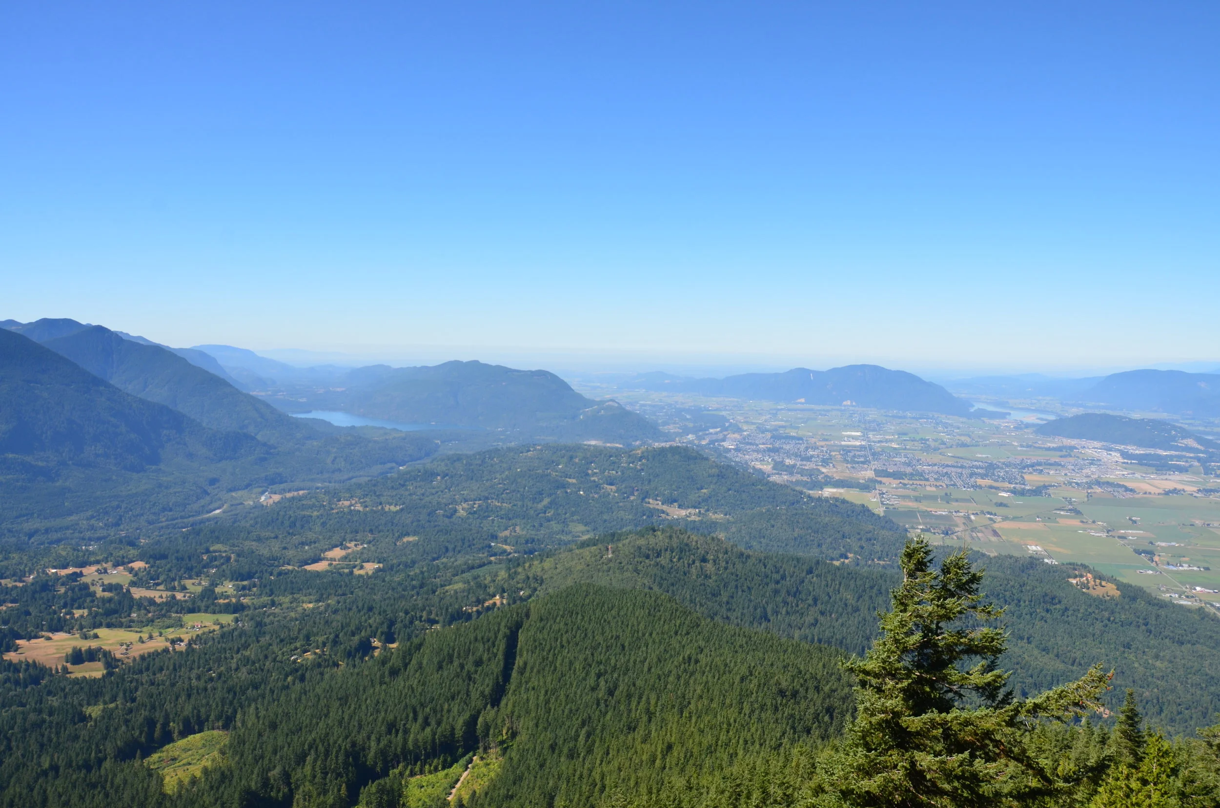 DSC_6689.JPG